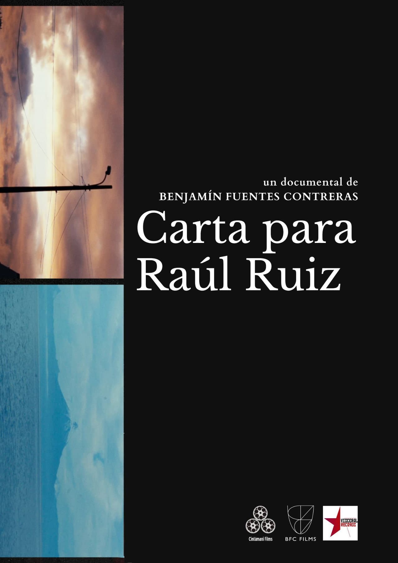 A Letter For Raoul Ruiz preview 2
