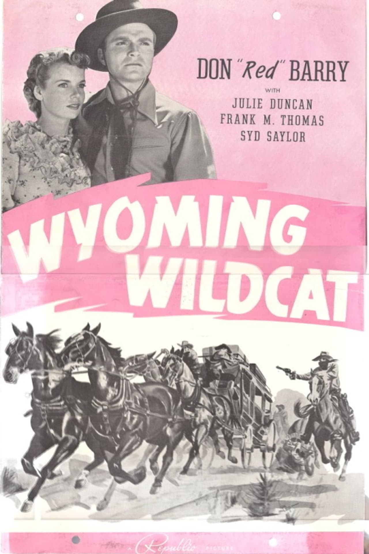 Wyoming Wildcat preview 2