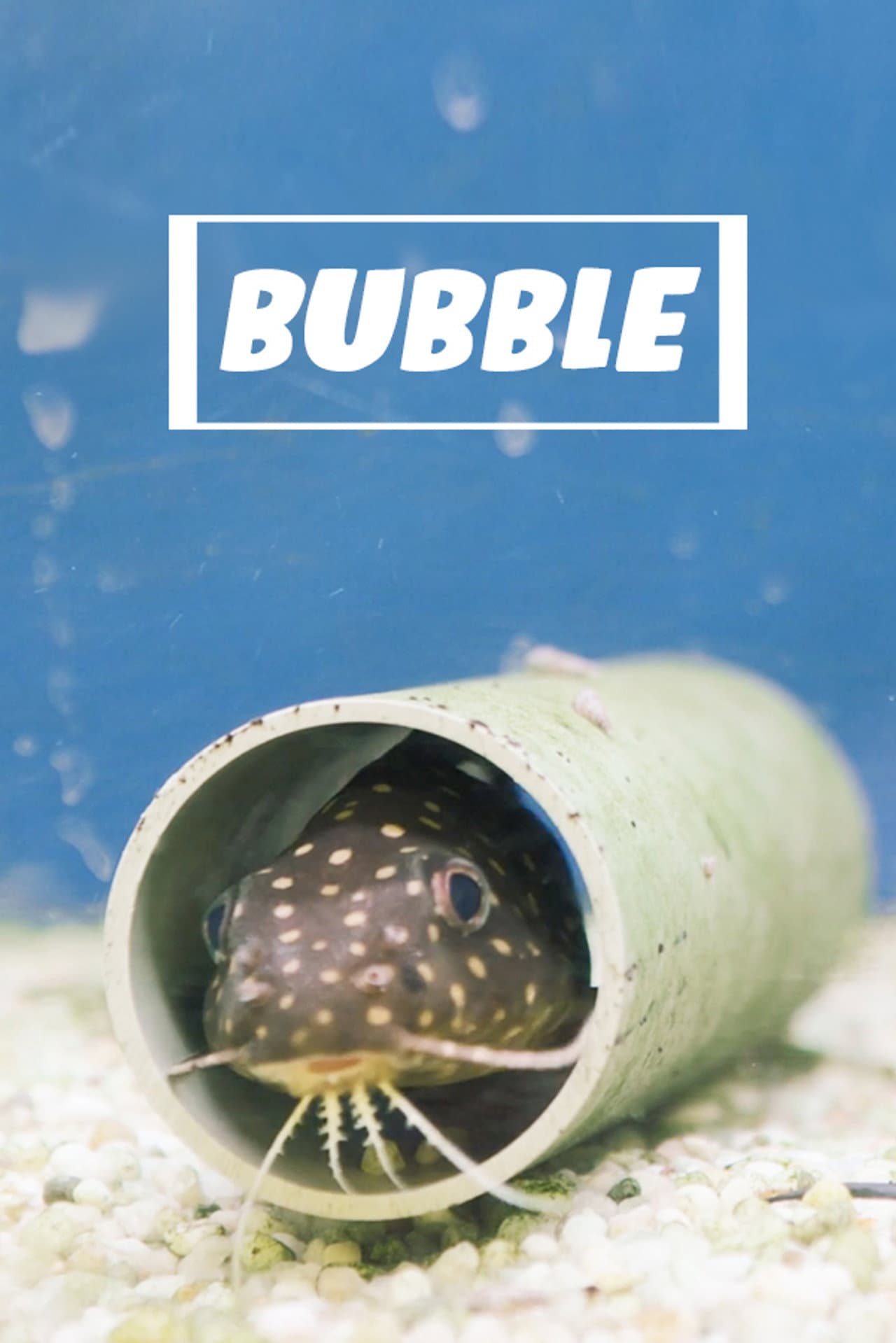 Bubble preview 2