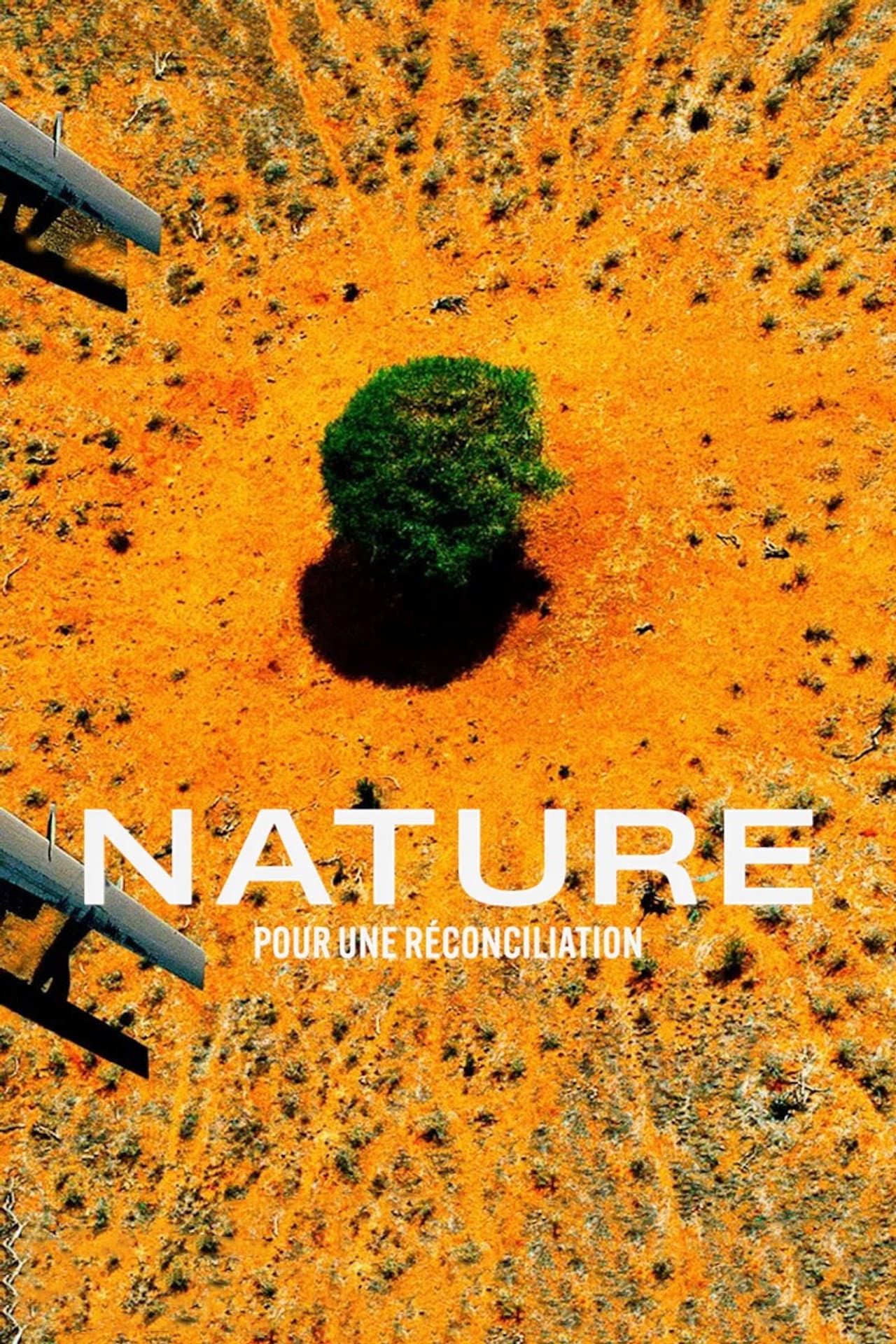 Nature : pour une réconciliation preview 2