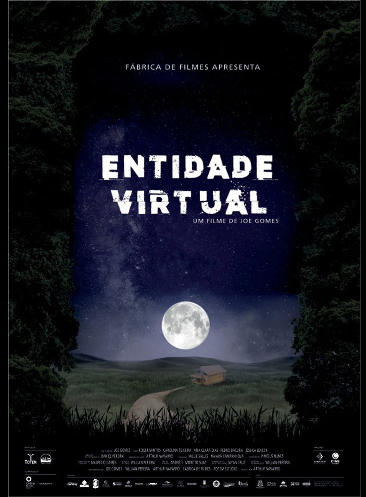 Entidade Virtual preview 1