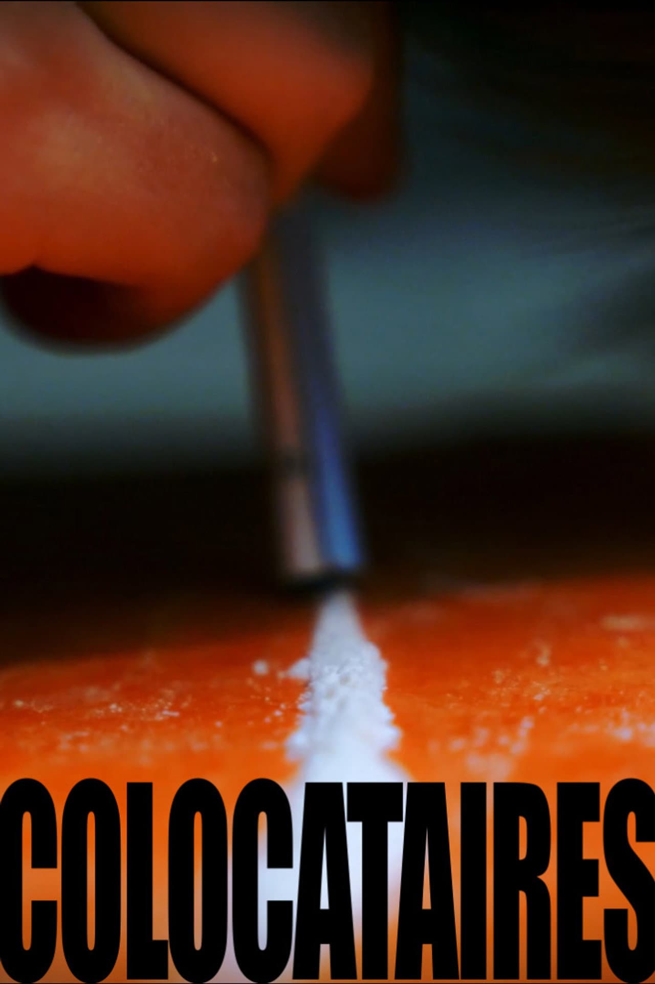 COLOCATAIRES preview 1
