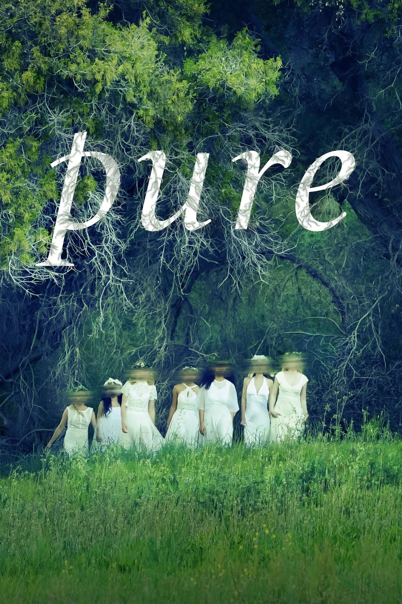 Pure preview 2