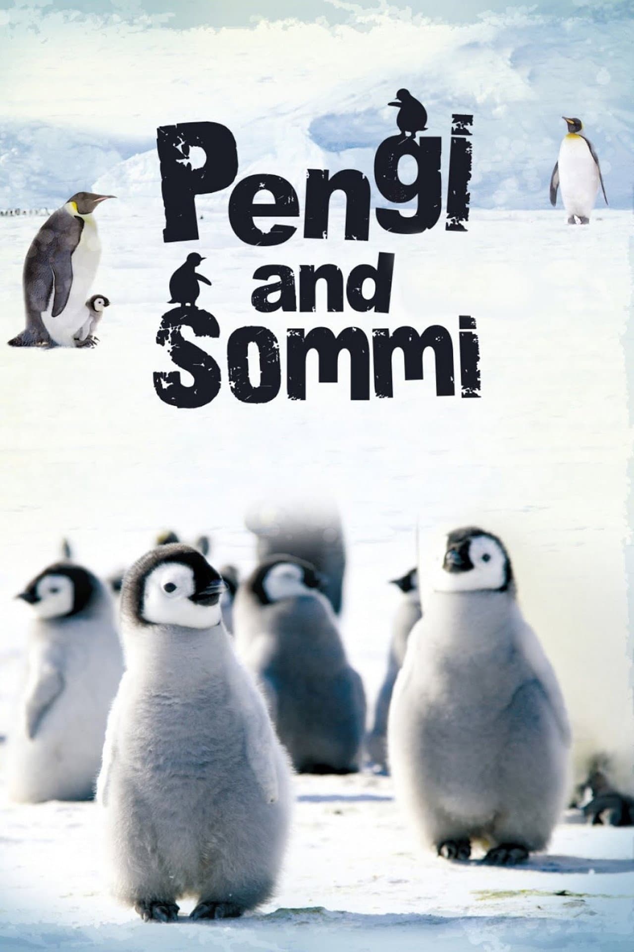 Pengi and Sommi preview 2