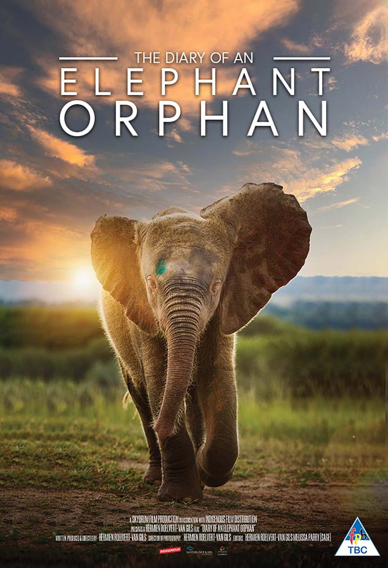 Diary of an Elephant Orphan preview 2
