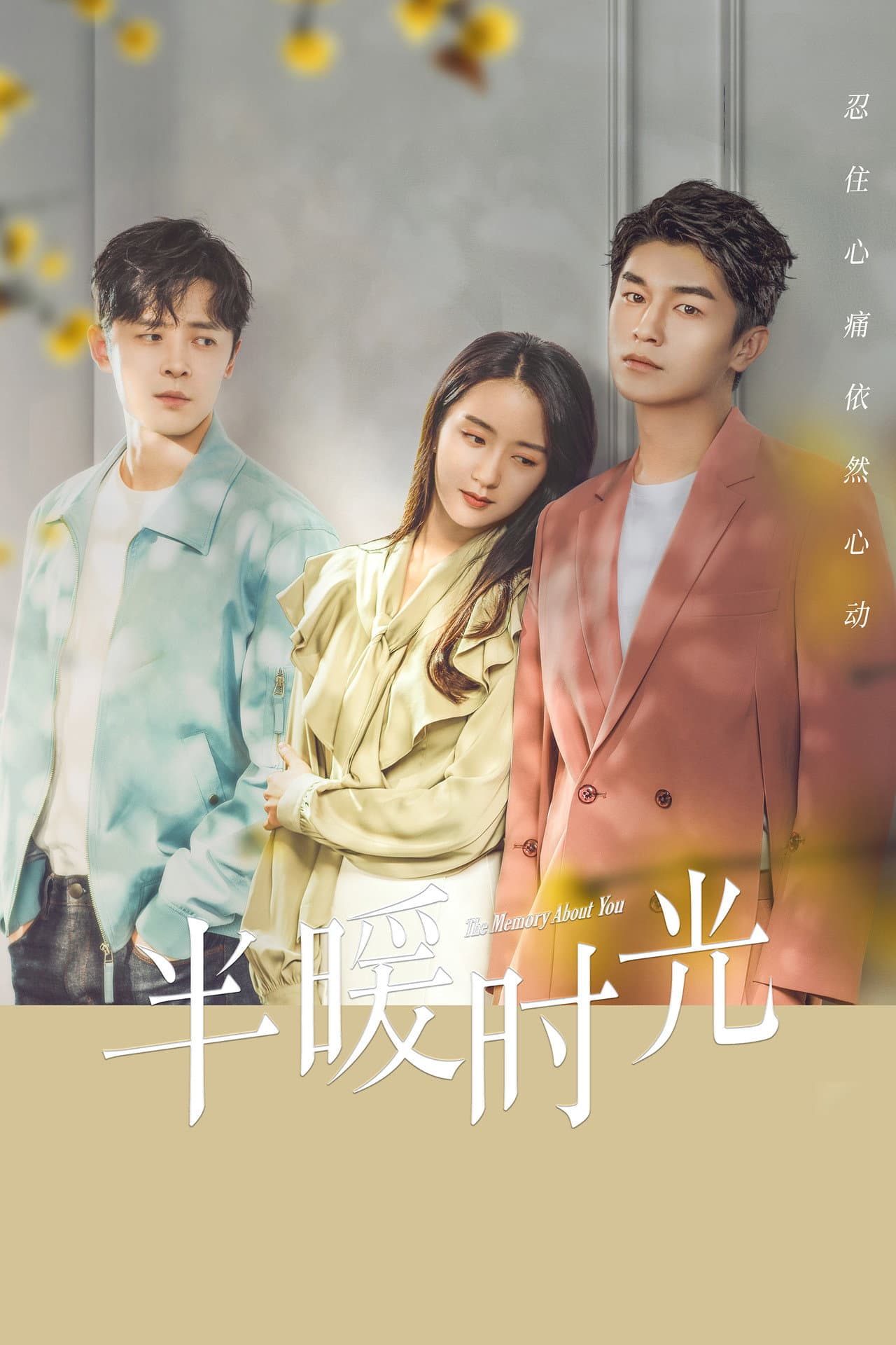 The Memory About You preview 2