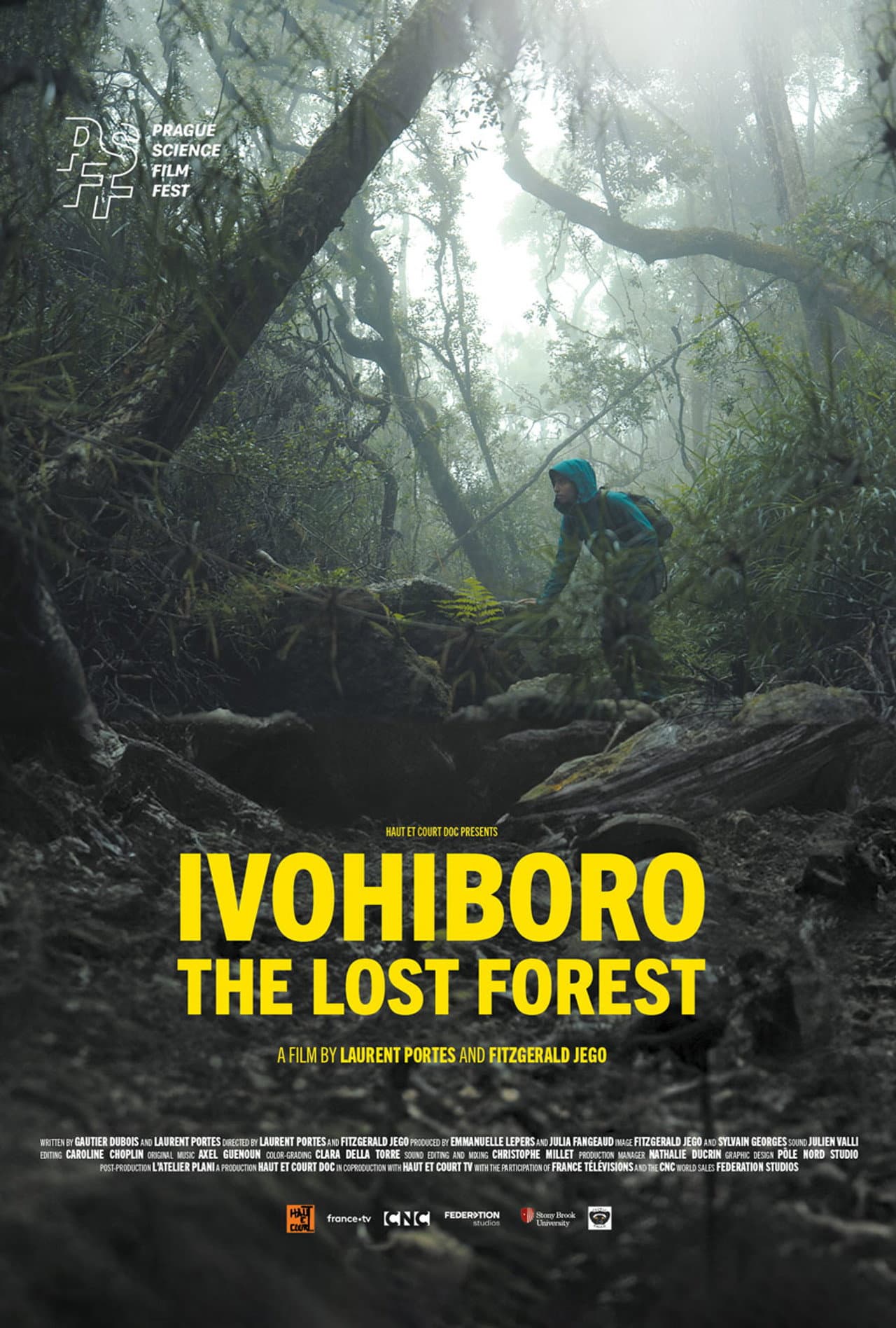 Ivohiboro, The Lost Forest preview 2