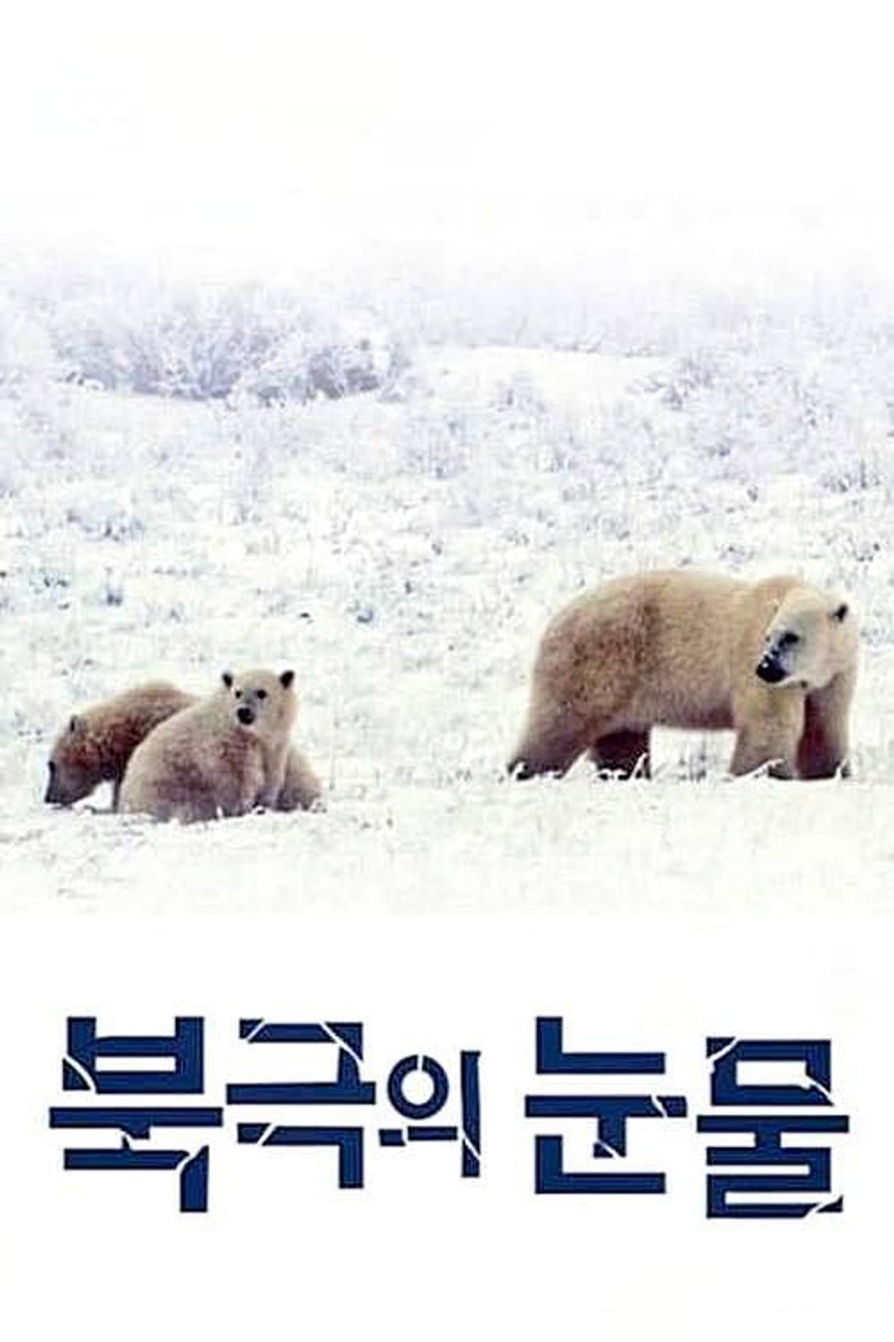 Tears in the Arctic preview 2