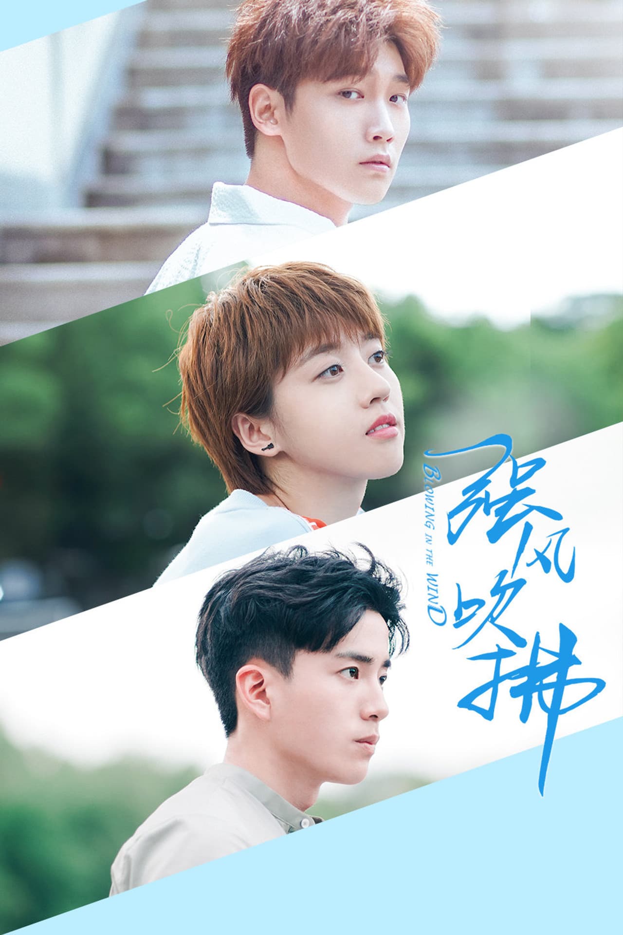 Blowing in the Wind preview 2