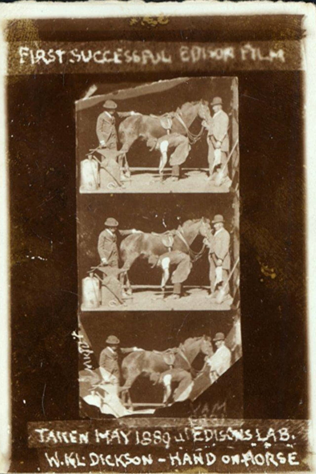 Horse Shoeing preview 2