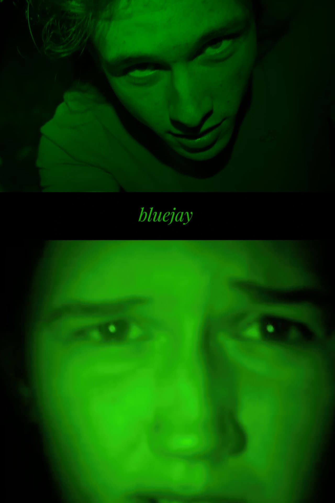 bluejay preview 2