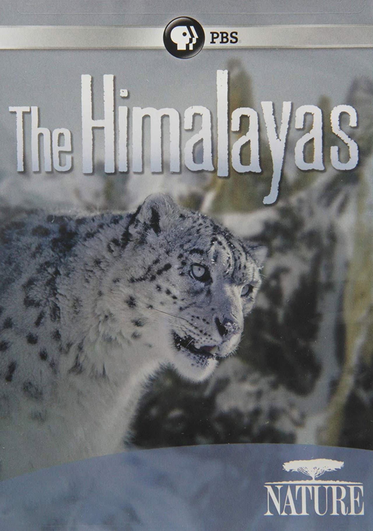 The Himalayas preview 2