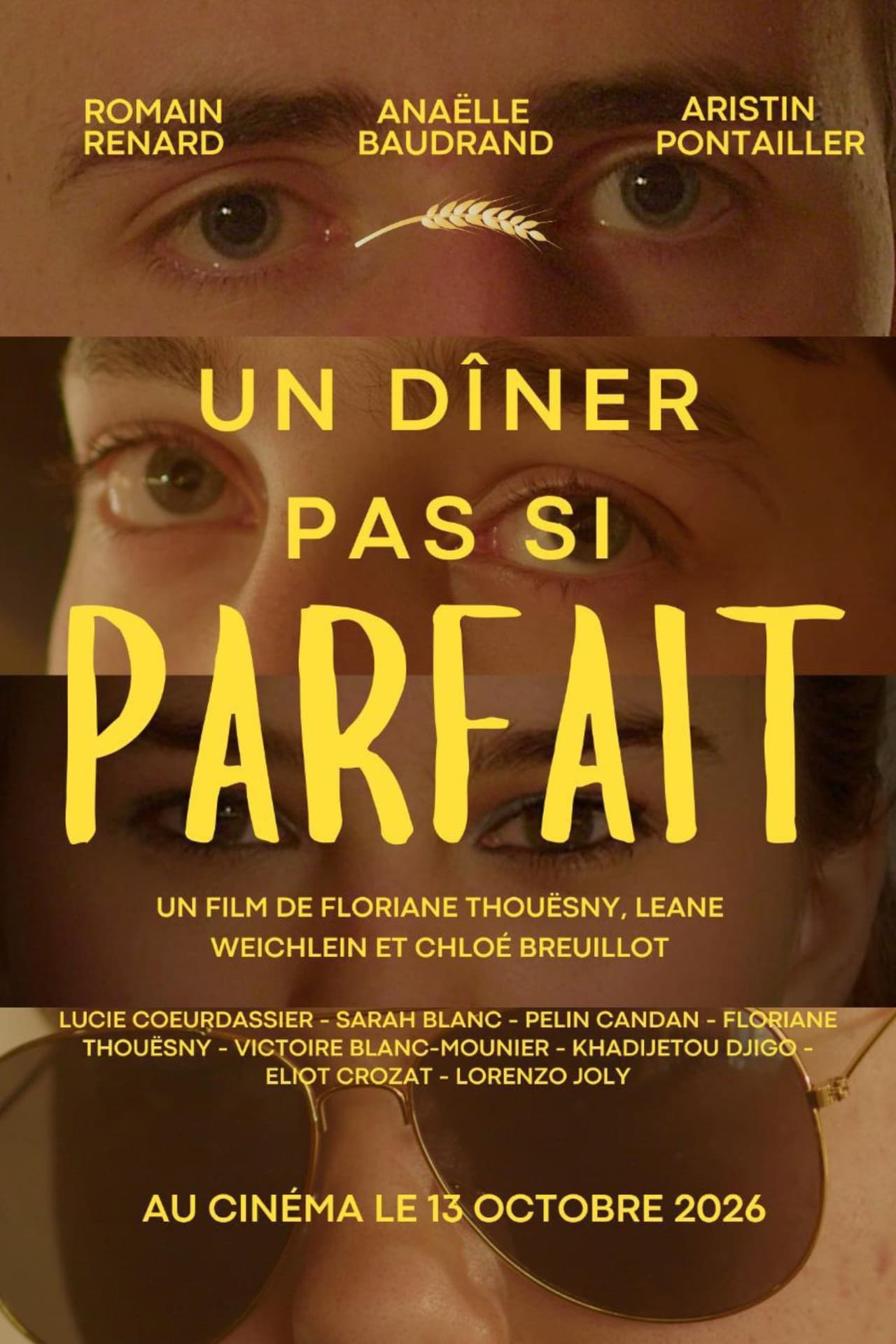Un dîner pas si parfait preview 2