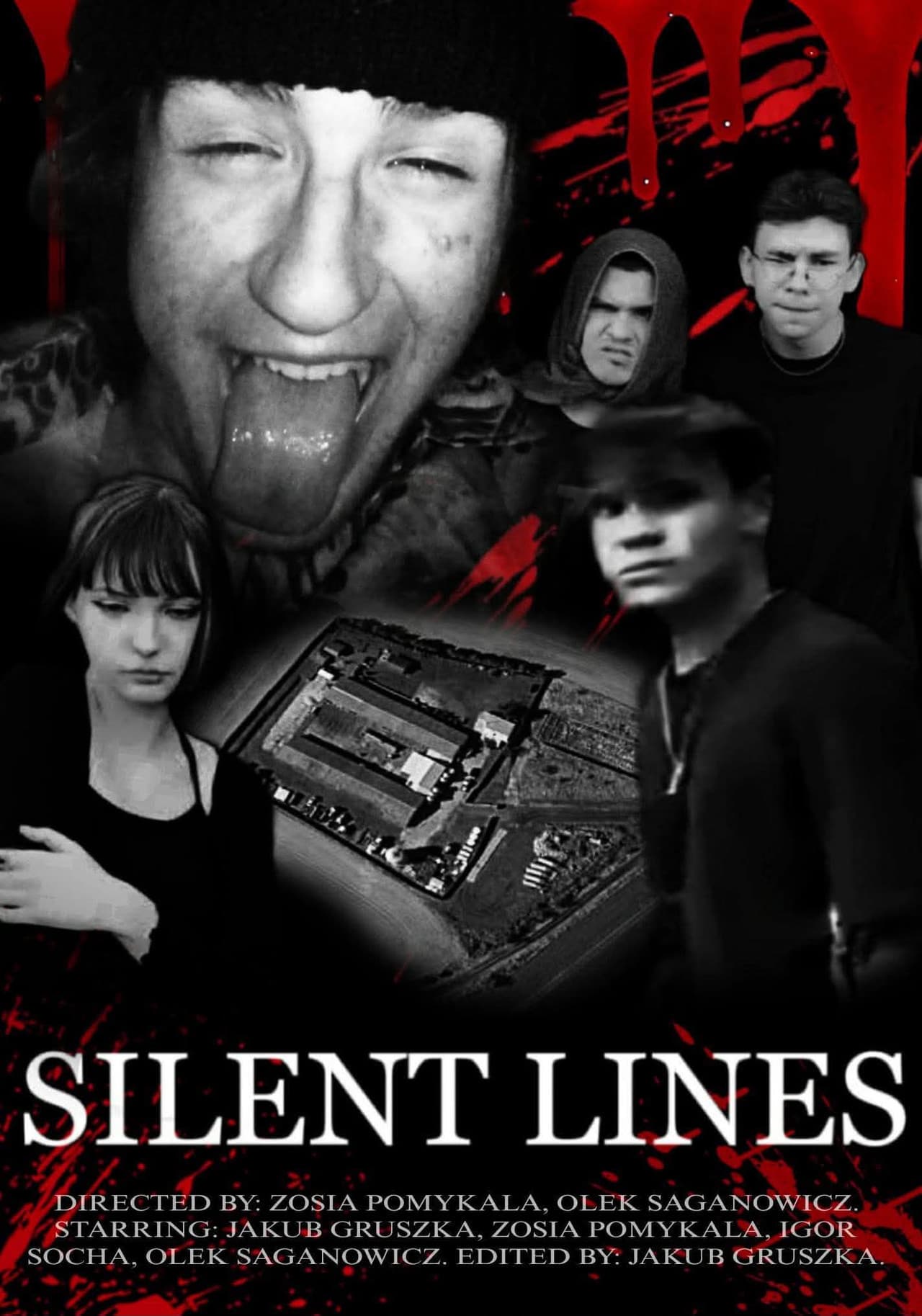 Silent Lines preview 1