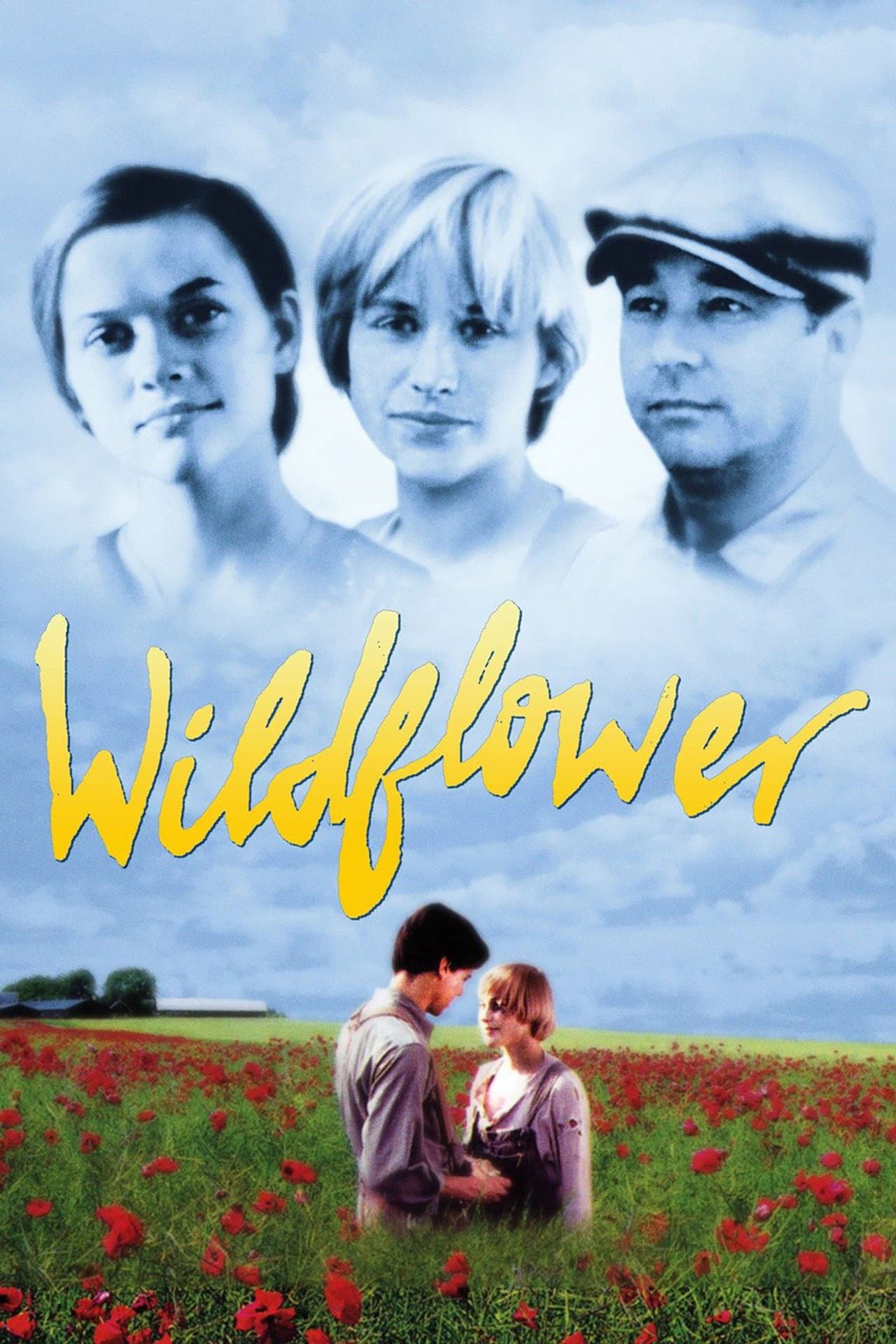Wildflower preview 2