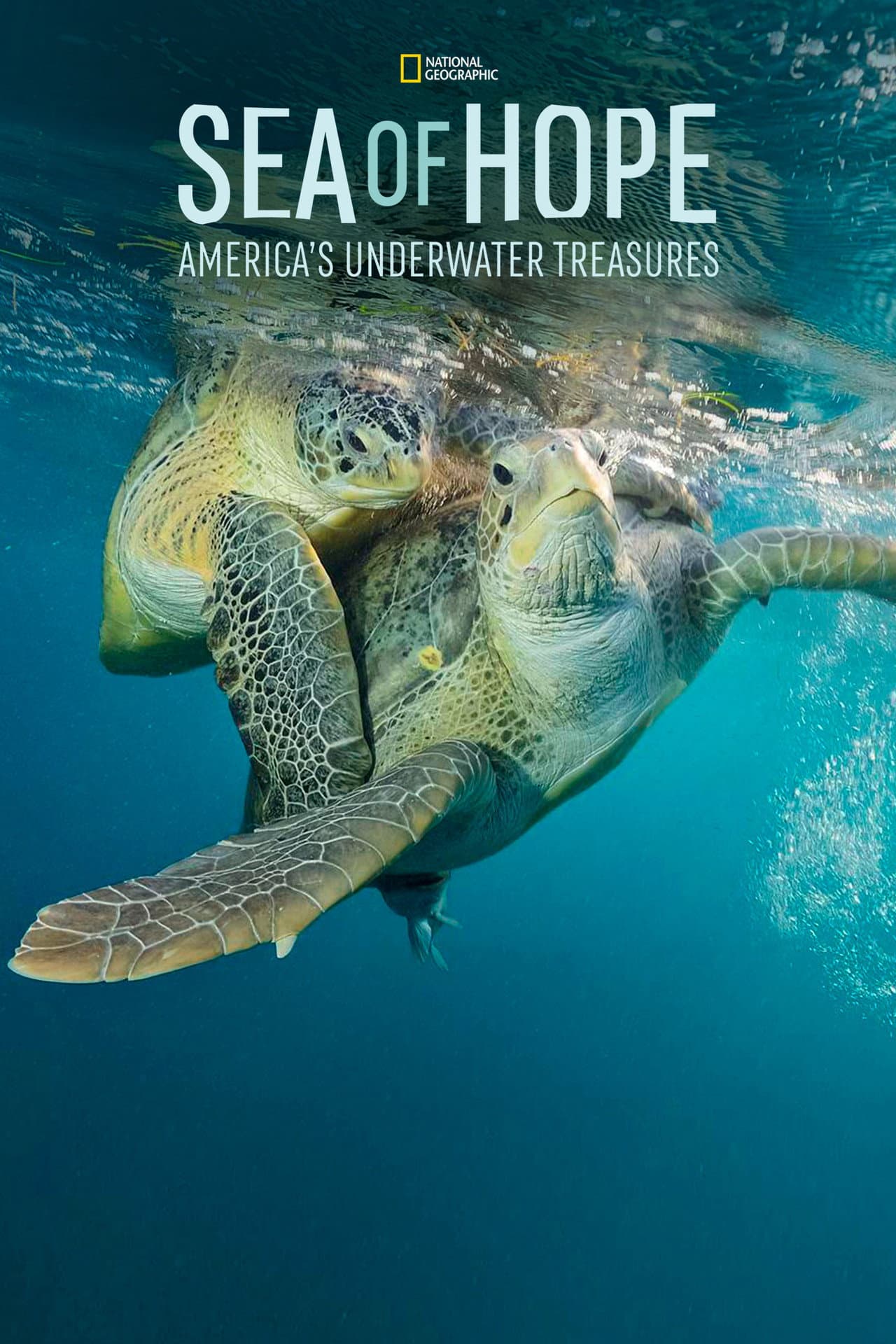 Sea of Hope: America's Underwater Treasures preview 2