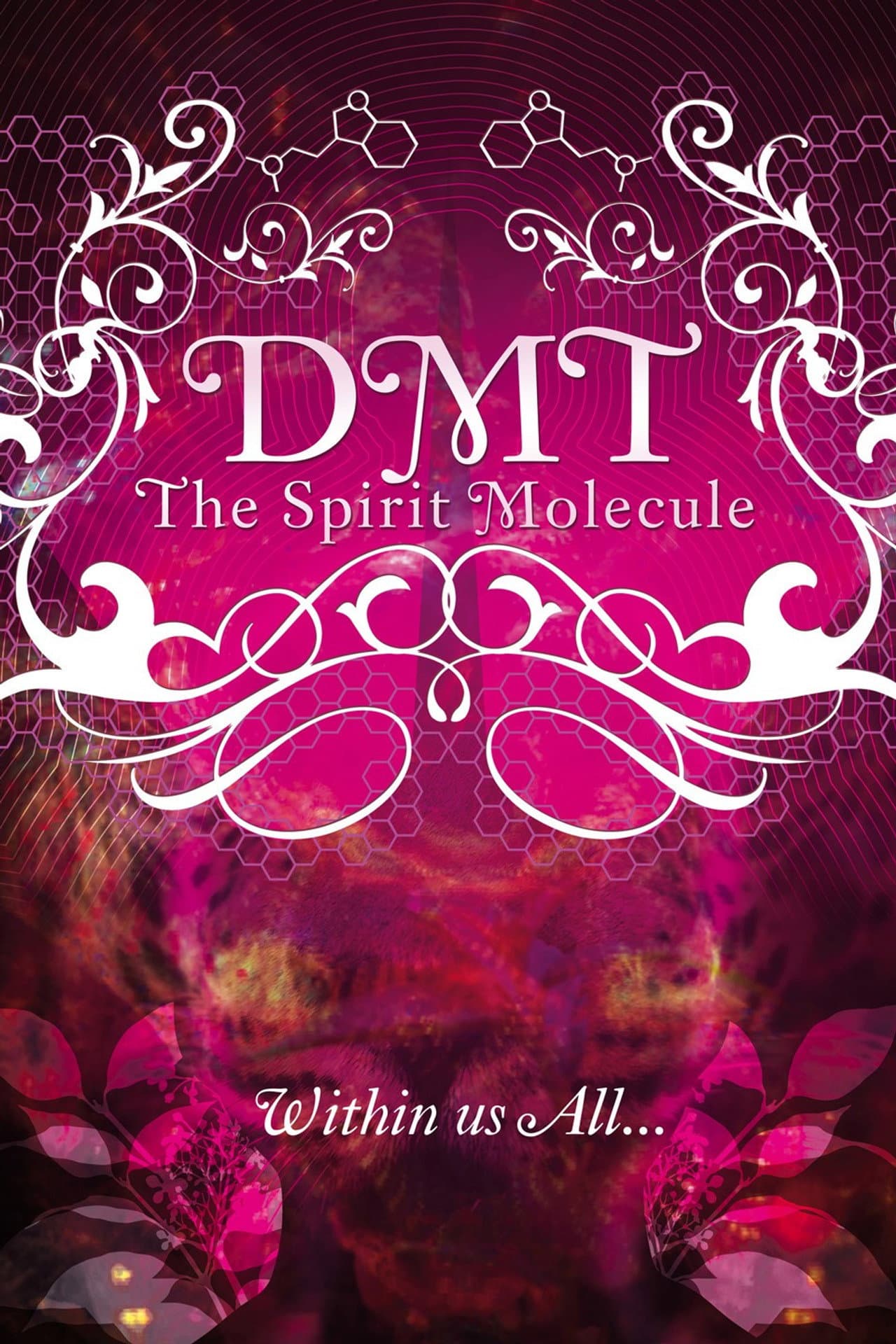 DMT: The Spirit Molecule preview 2