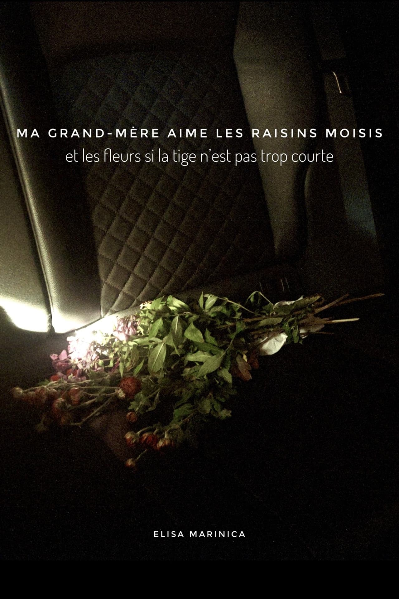ma grand-mère aime les raisins moisis preview 2