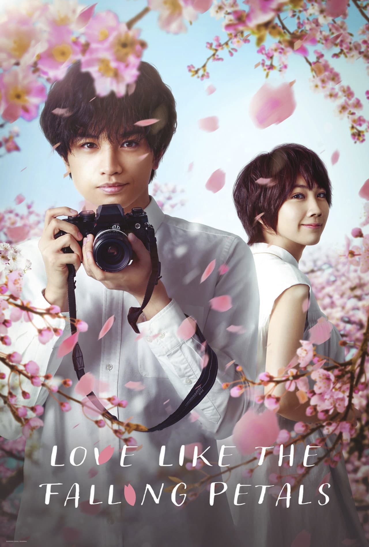 Love Like the Falling Petals preview 2