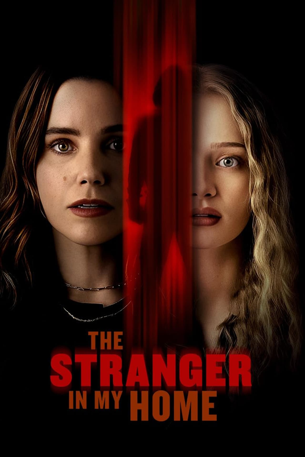 The Stranger in My Home preview 2
