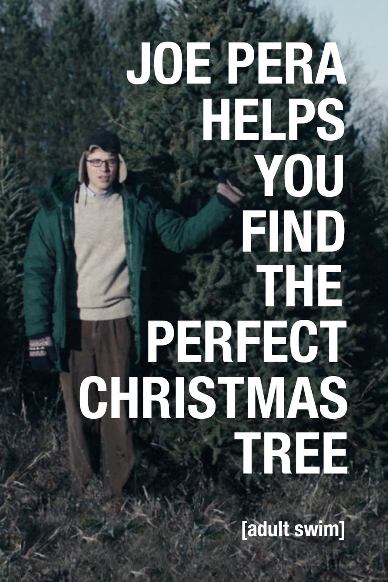 Joe Pera Helps You Find the Perfect Christmas Tree preview 2