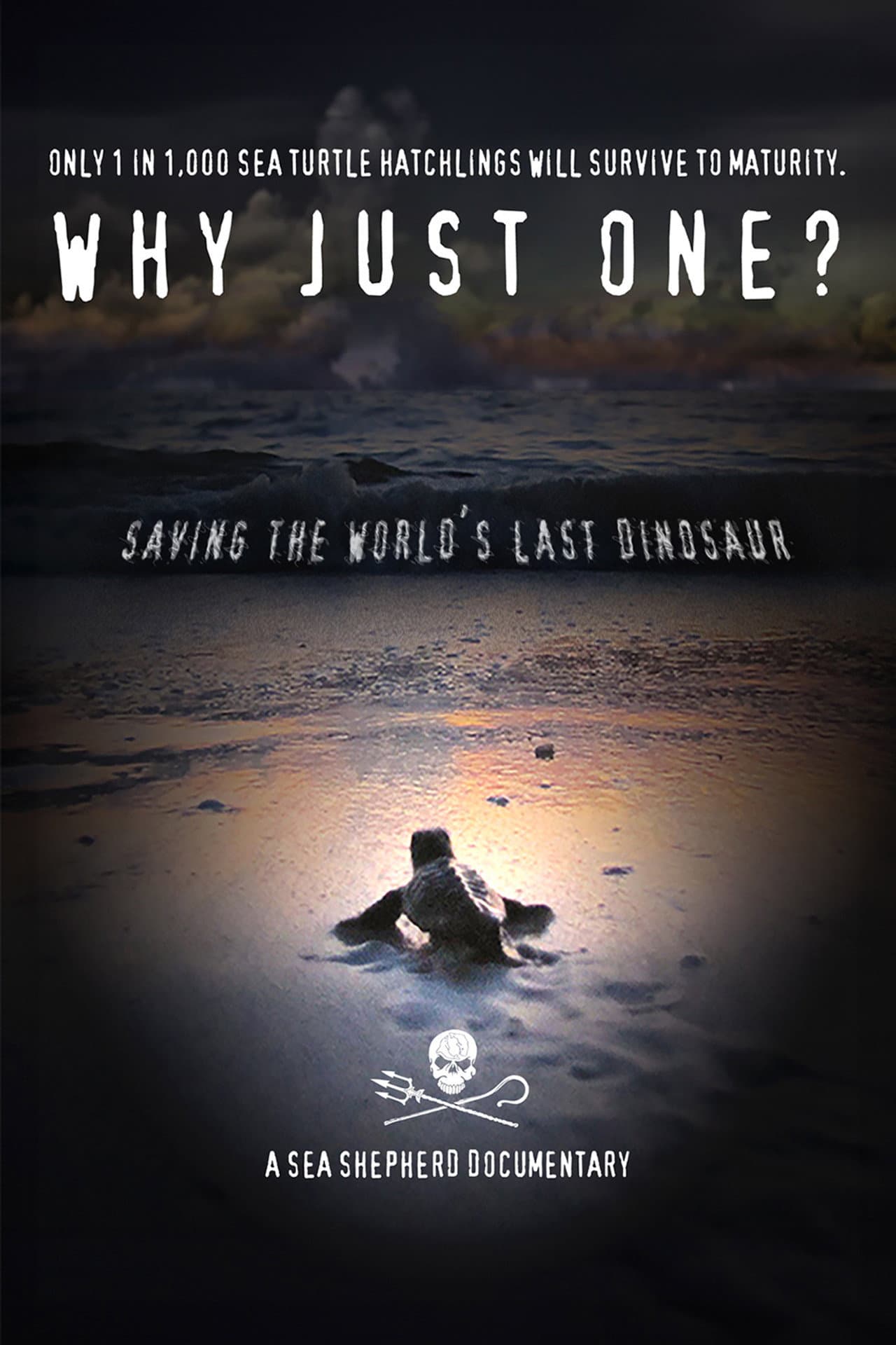 Why Just One? preview 2