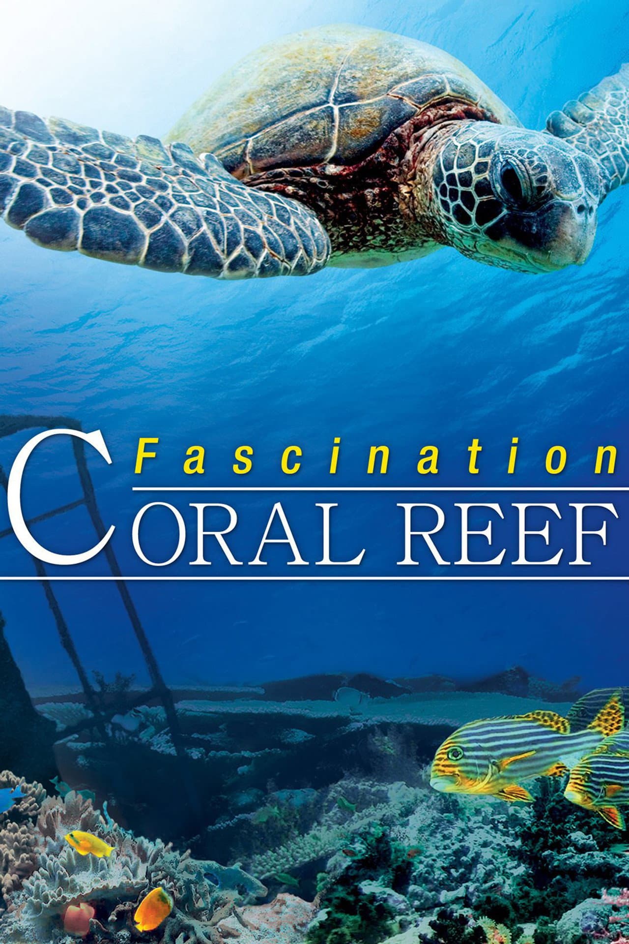 Fascination Coral Reef preview 2