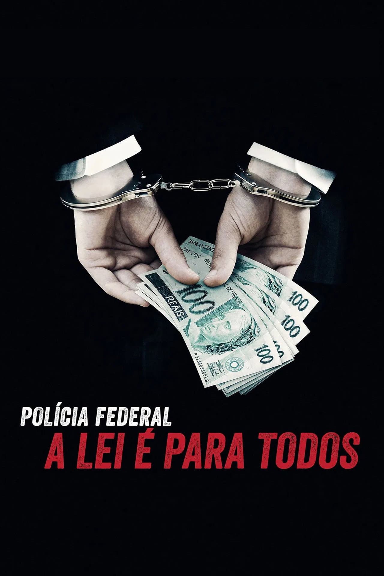 Operation Carwash: A Worldwide Corruption Scandal Made in Brazil preview 2