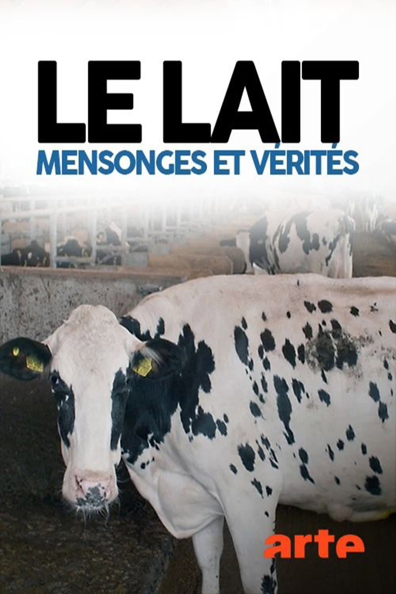 Milk: Facts, Figures and Beliefs preview 2