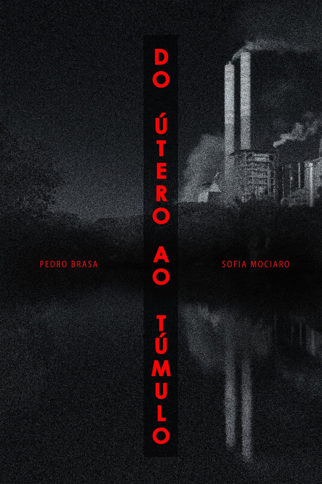 Do Útero Ao Túmulo preview 2