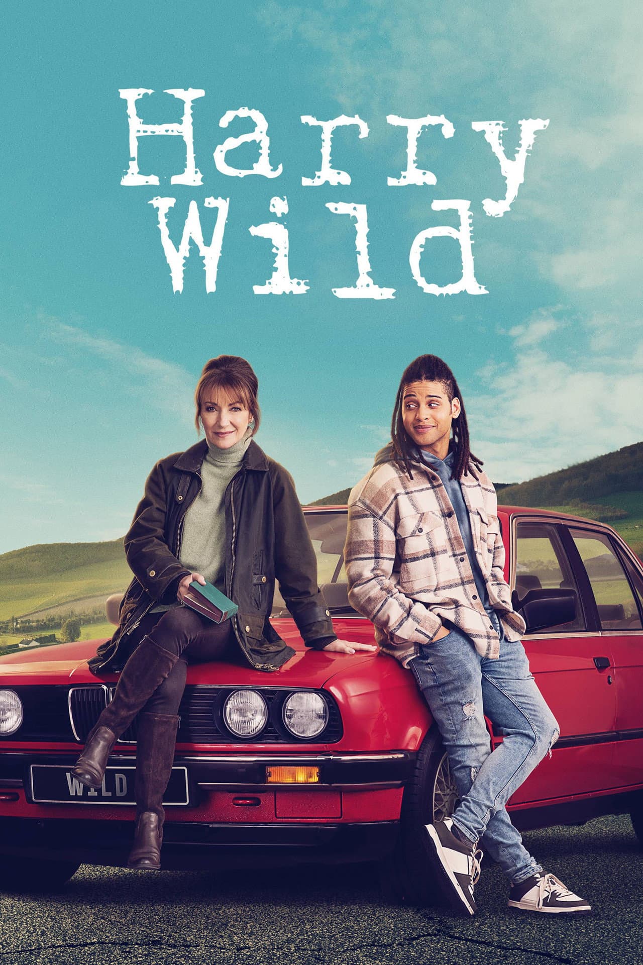 Harry Wild preview 2