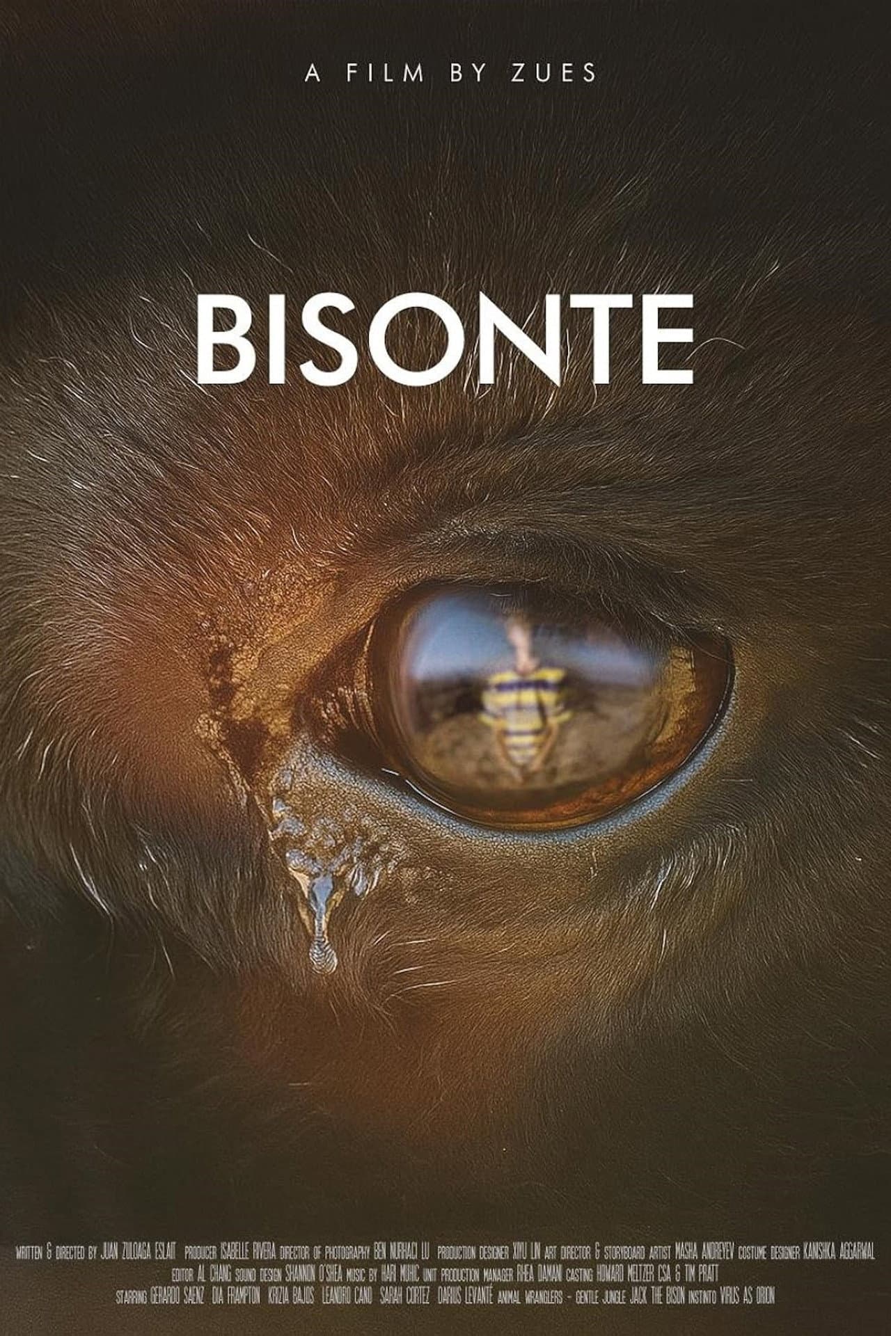 Bisonte preview 1