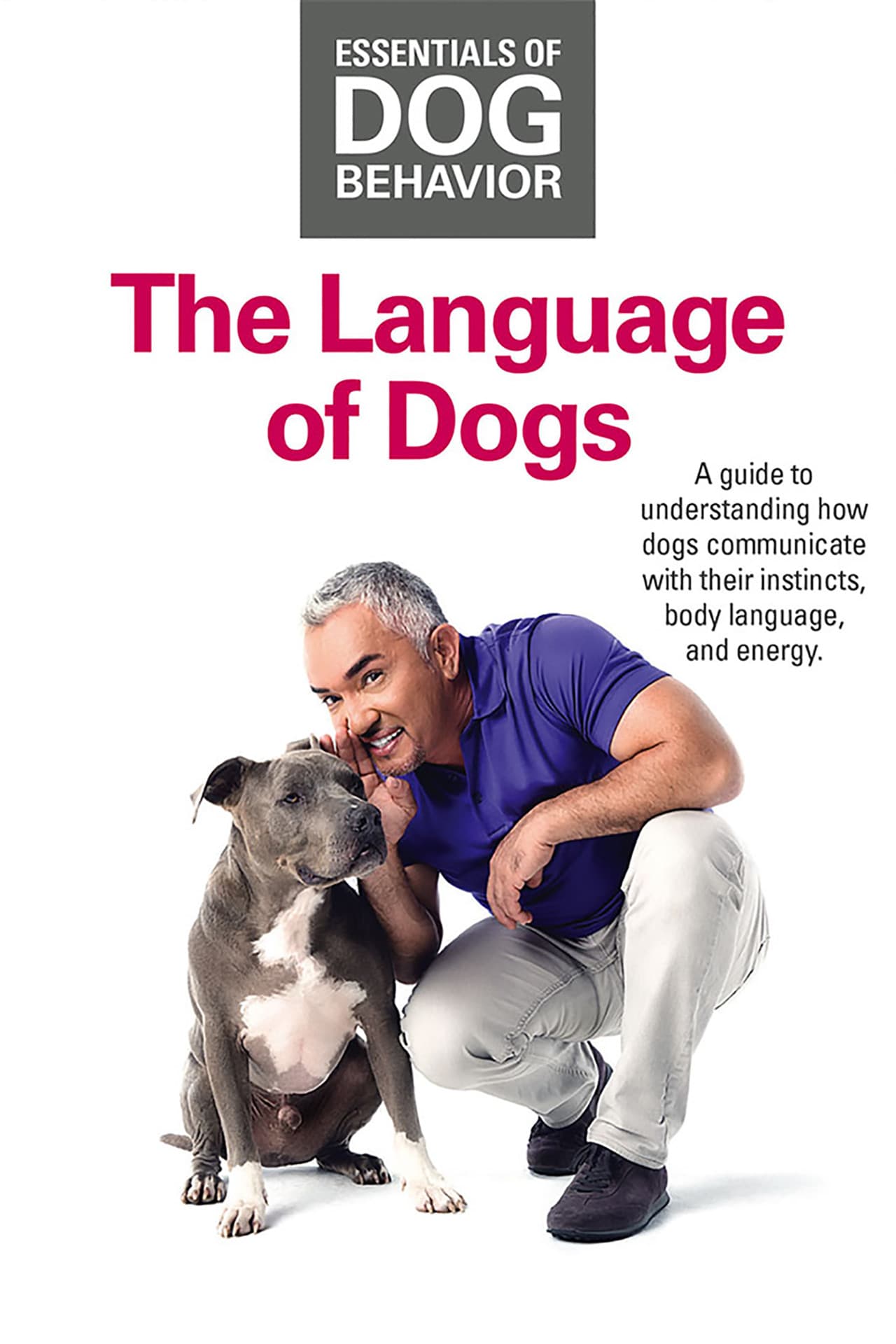 Essentials of Dog Behavior: The Language of Dogs preview 1