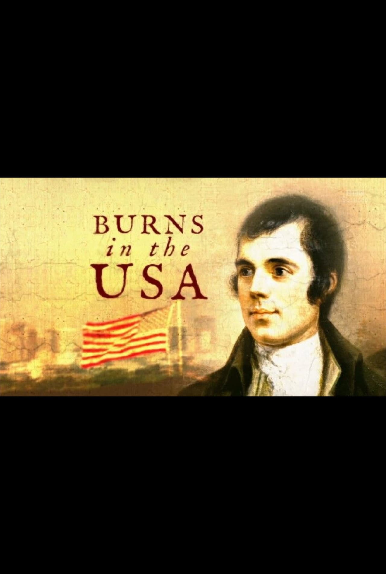 Burns in the USA preview 1