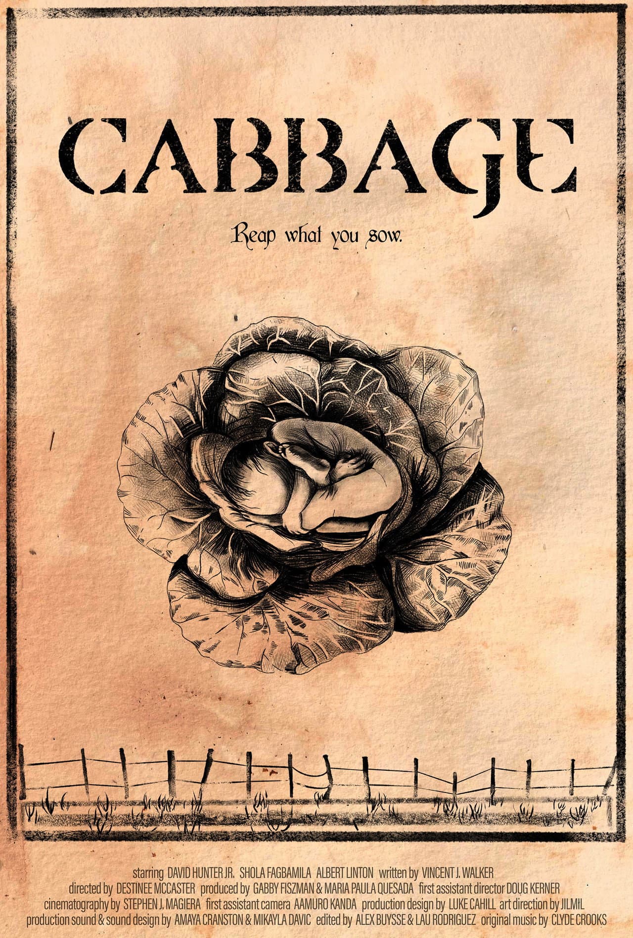 Cabbage preview 2