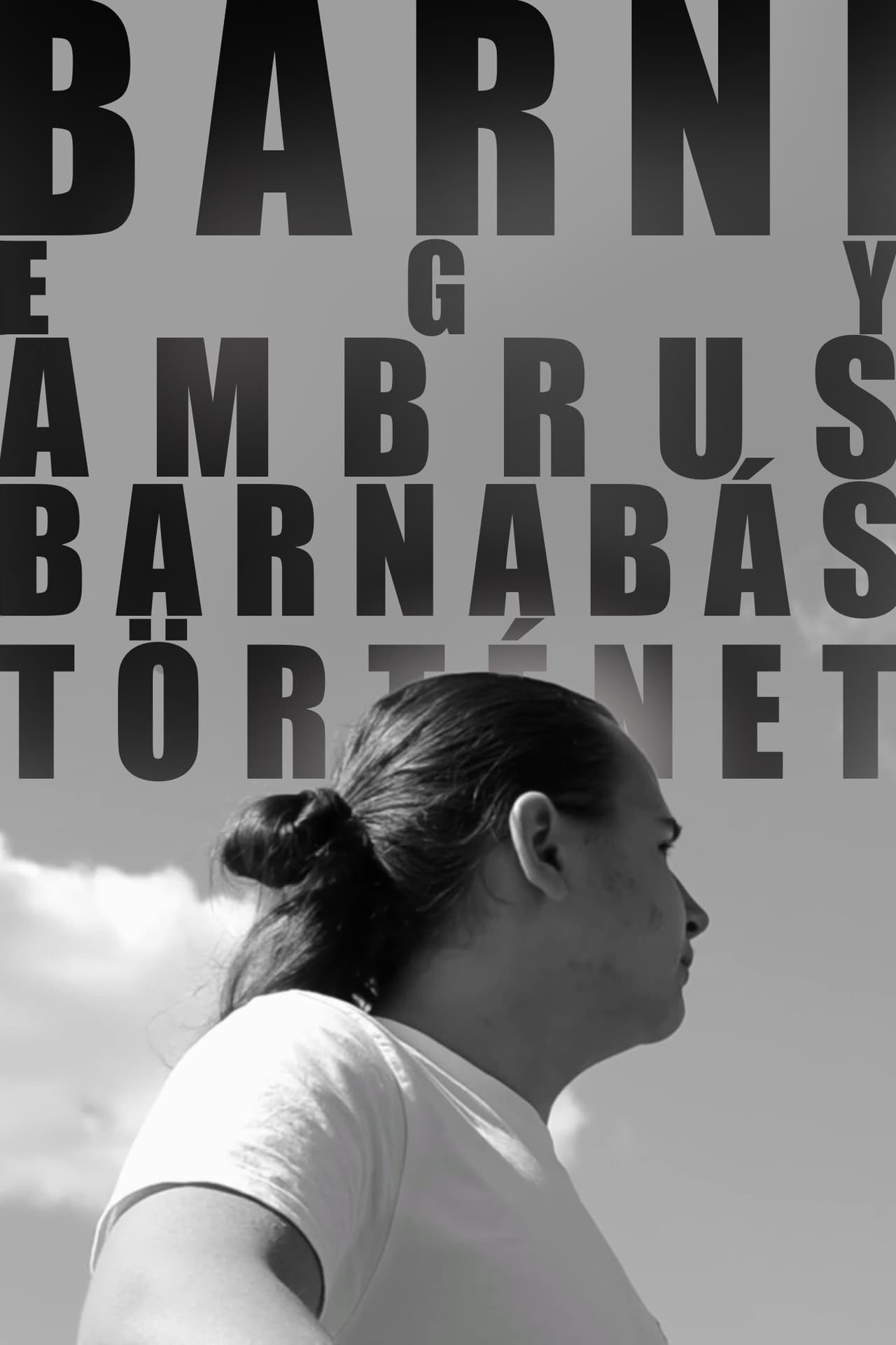 BARNI: A Barnabás Ambrus Story preview 1
