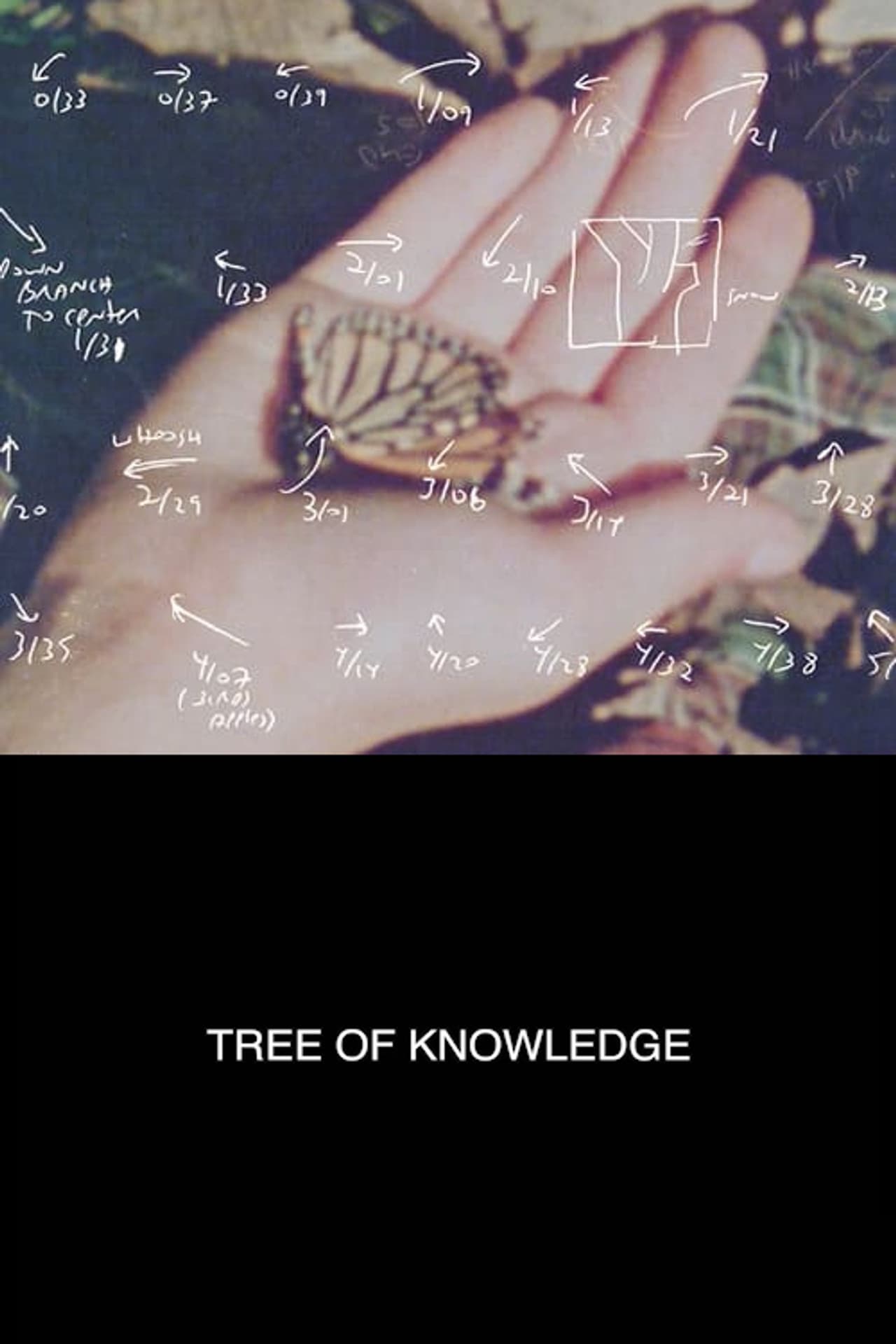 Tree of Knowledge preview 1
