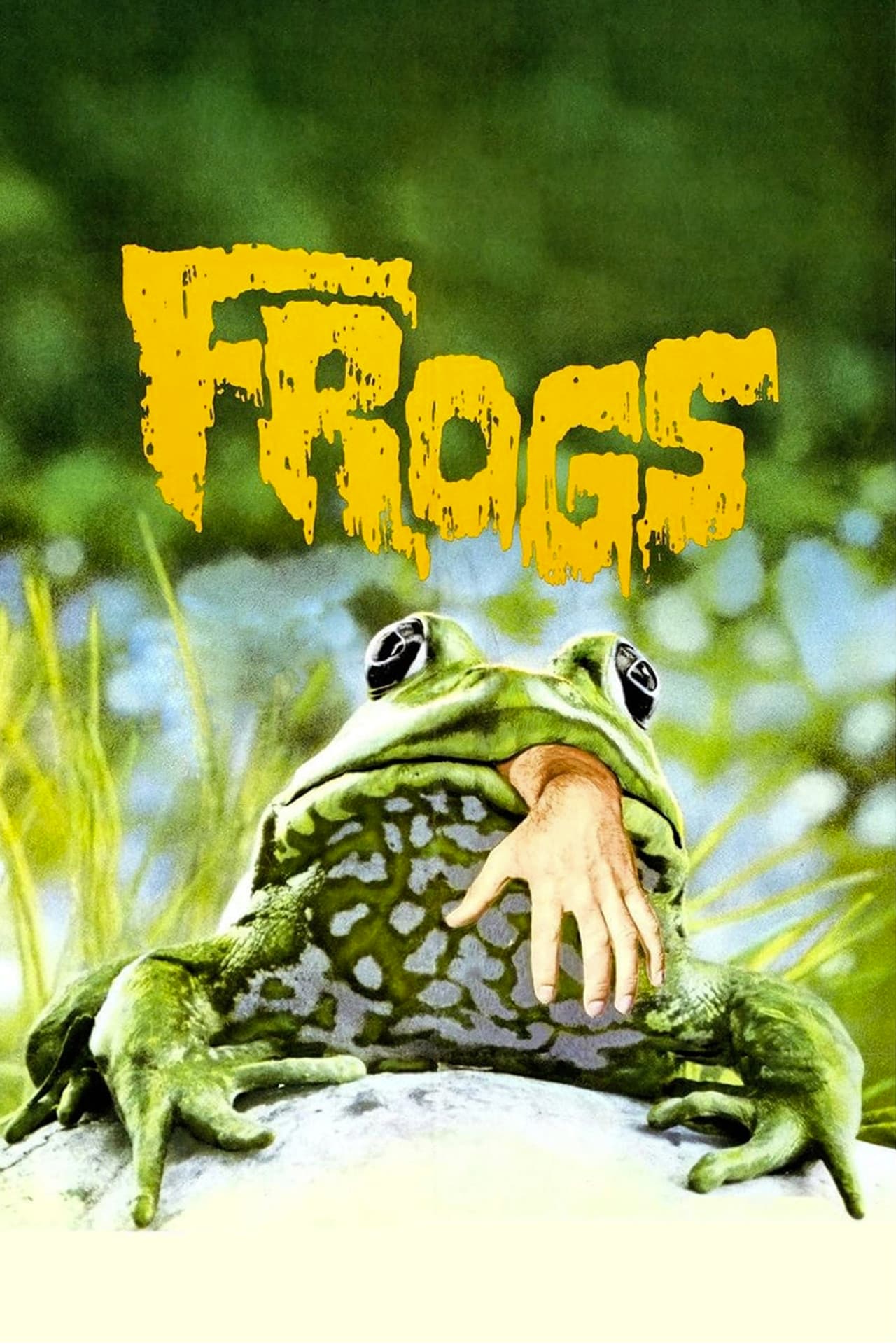 Frogs preview 2