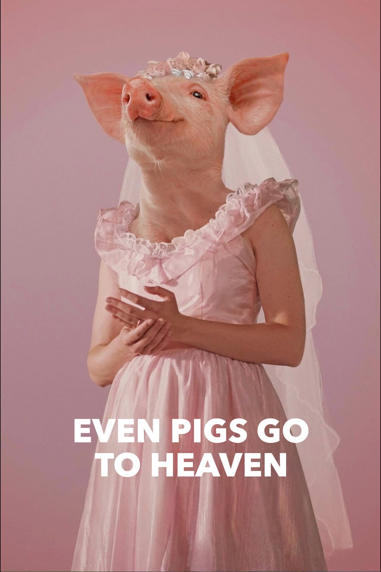 Even Pigs Go to Heaven preview 2