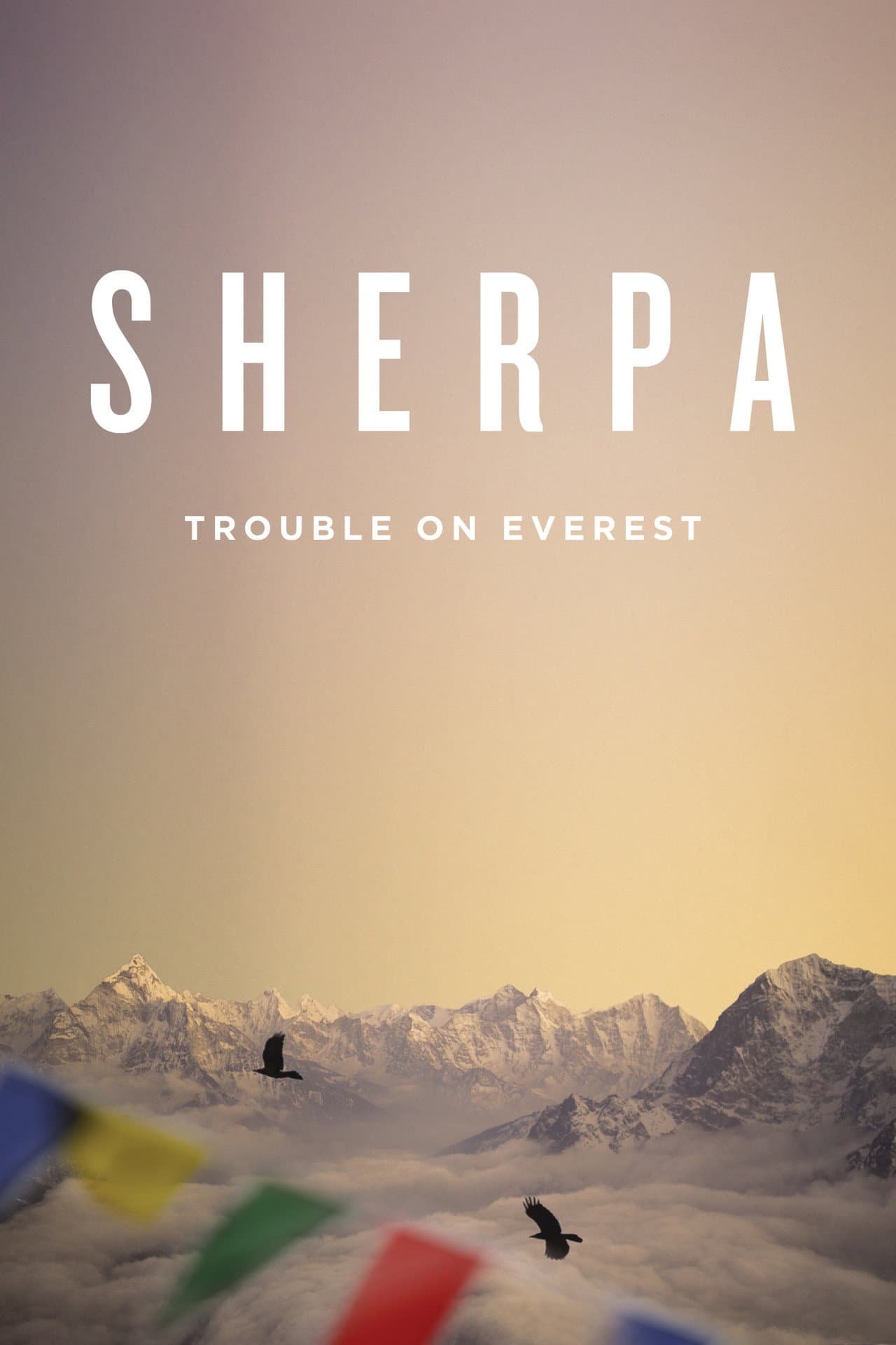 Sherpa preview 2
