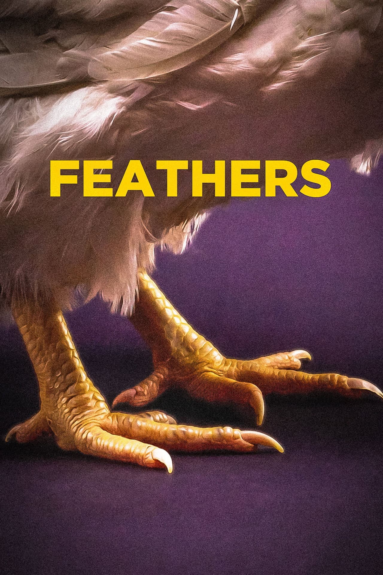 Feathers preview 2