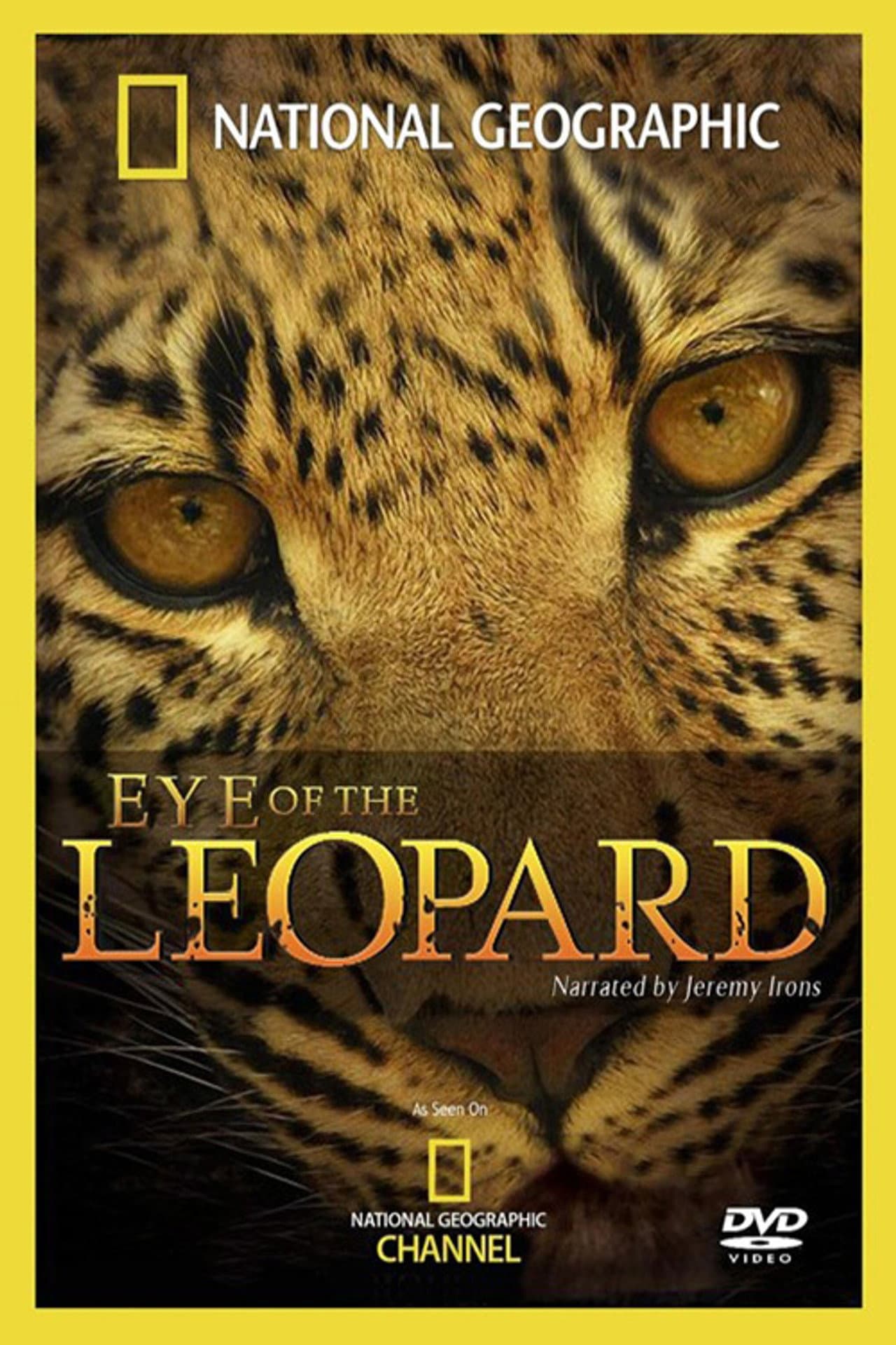 Eye of the Leopard preview 2