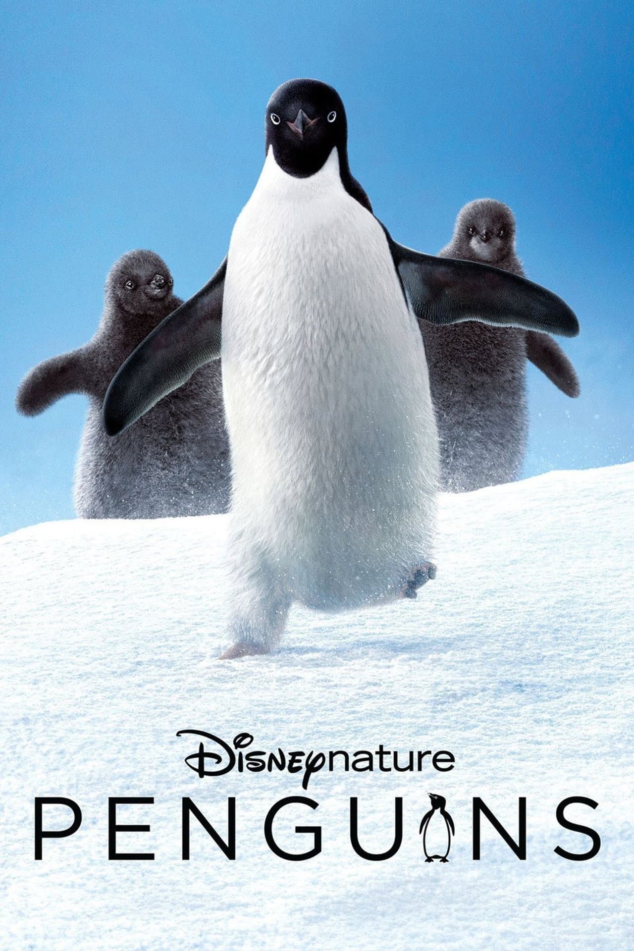Penguins preview 2