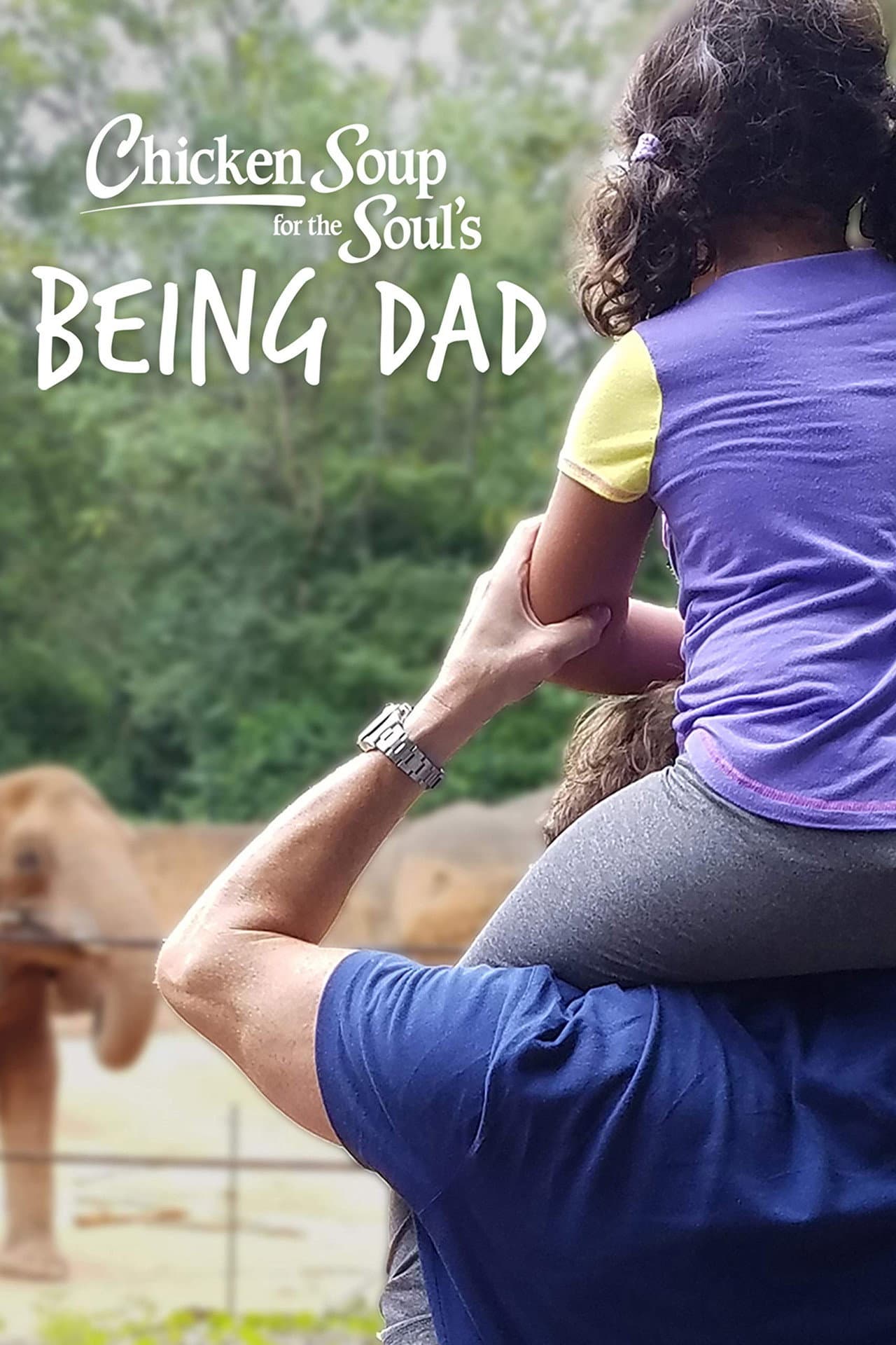 Chicken Soup for the Soul's Being Dad preview 2