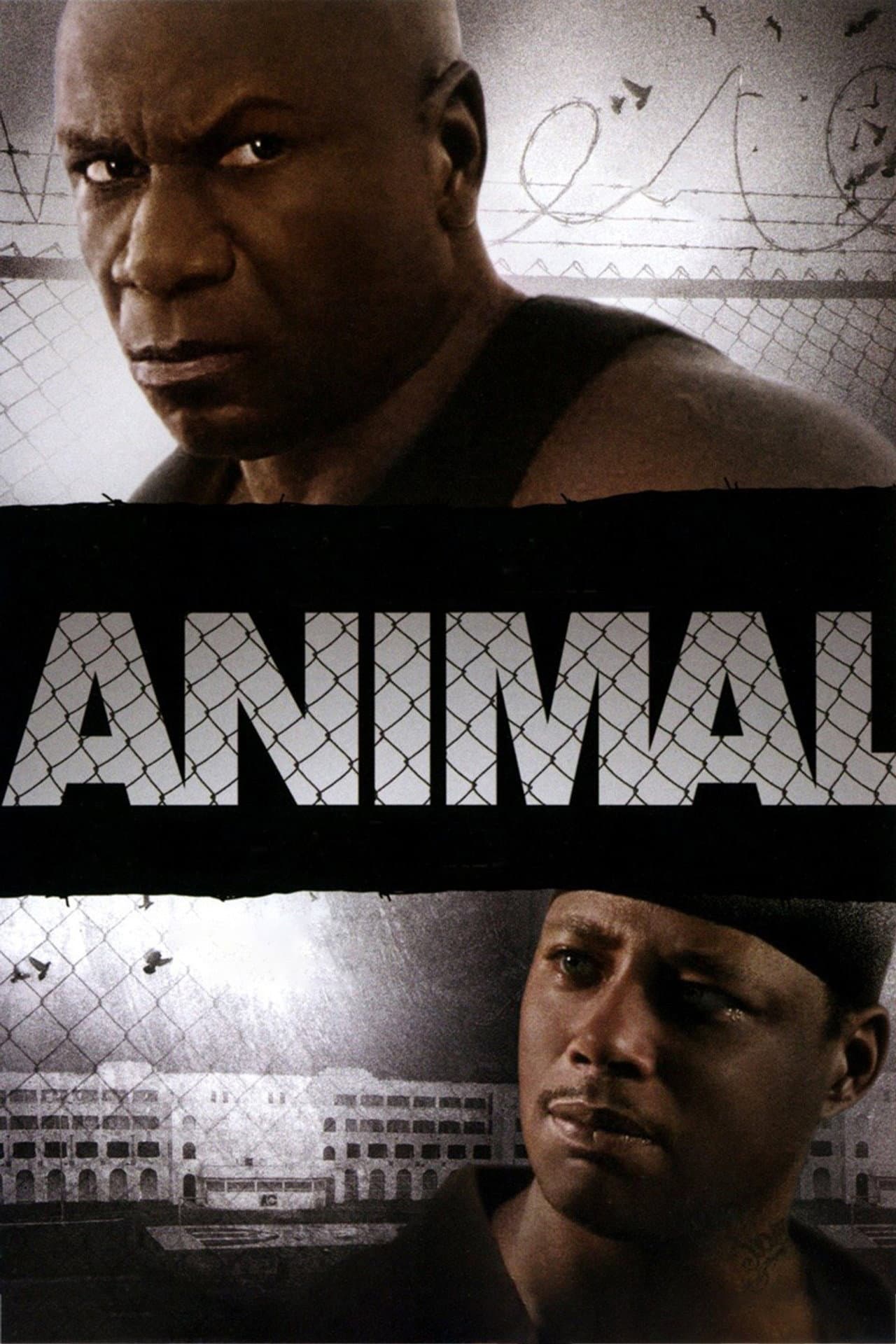 Animal preview 2