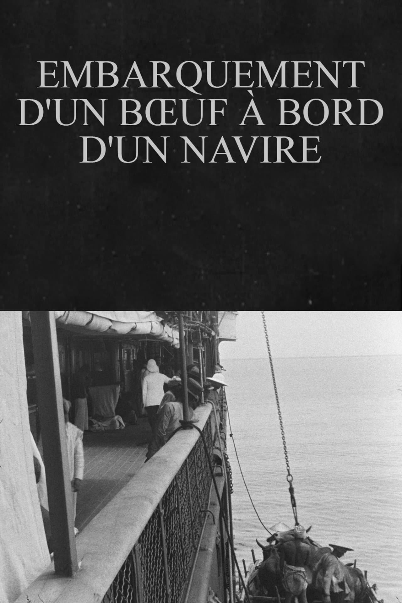 Embarquement d'un bœuf à bord d'un navire preview 1