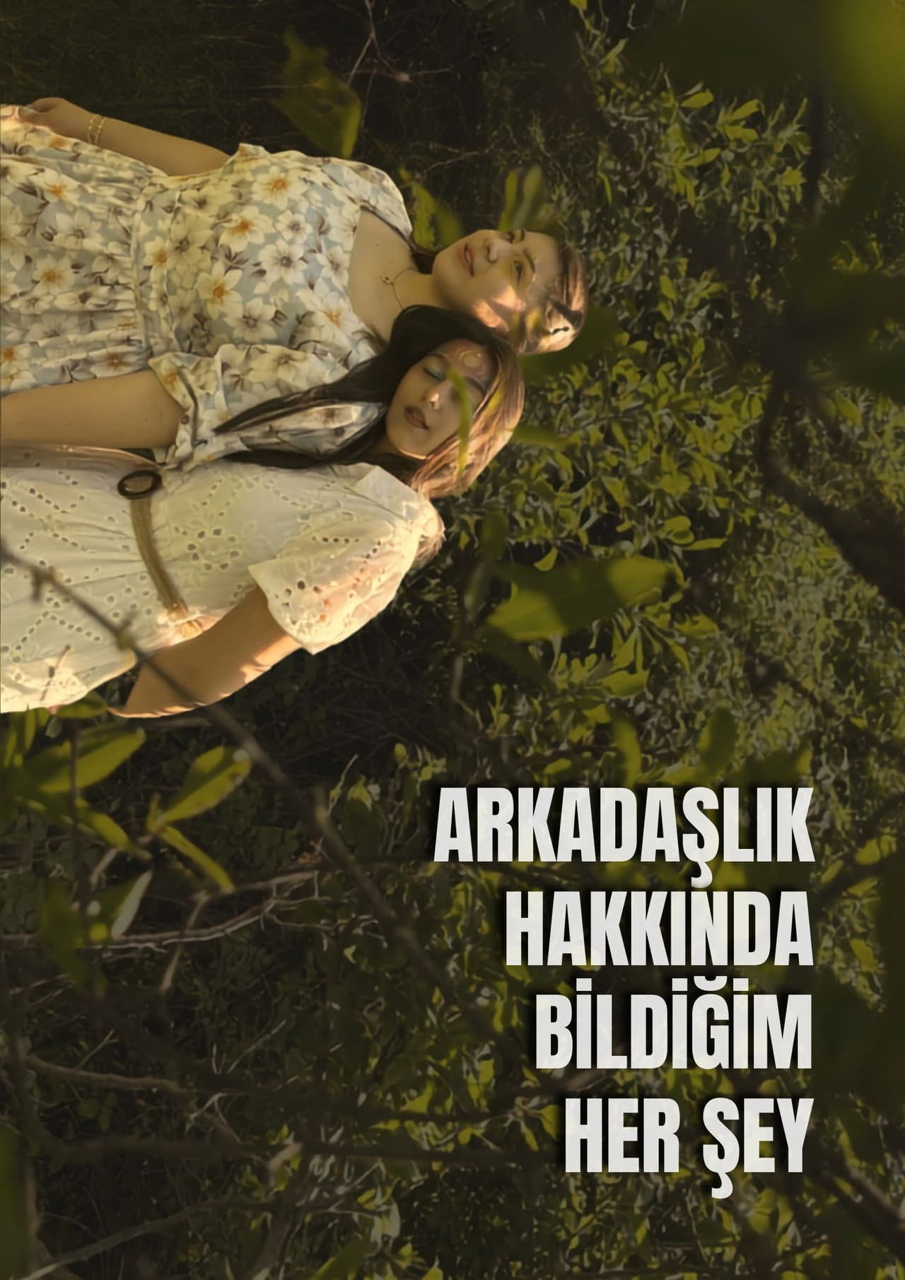 Arkadaşlık Hakkında Bildiğim Her Şey preview 1