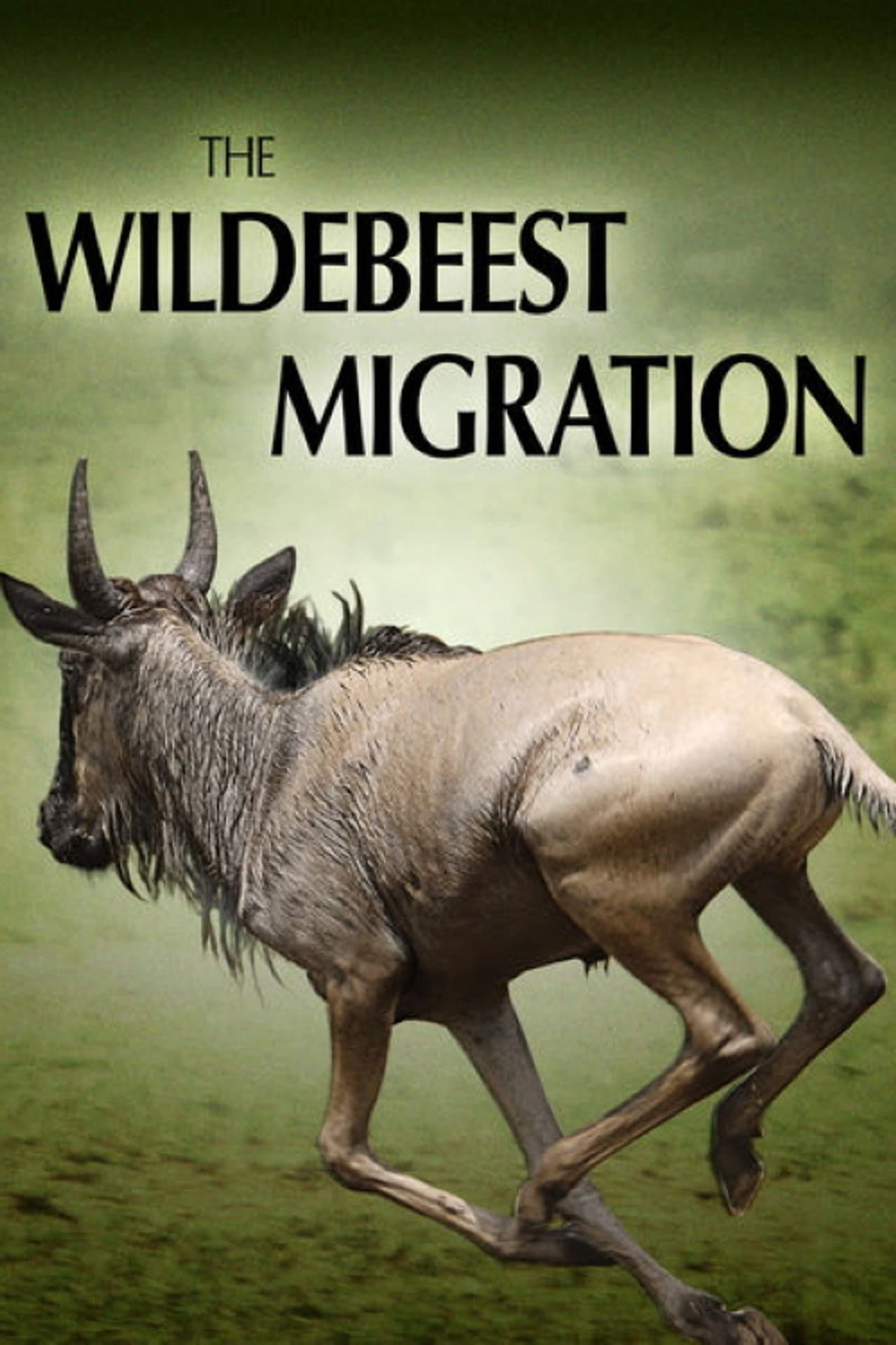 The Wildebeest Migration: Nature's Greatest Journey preview 1