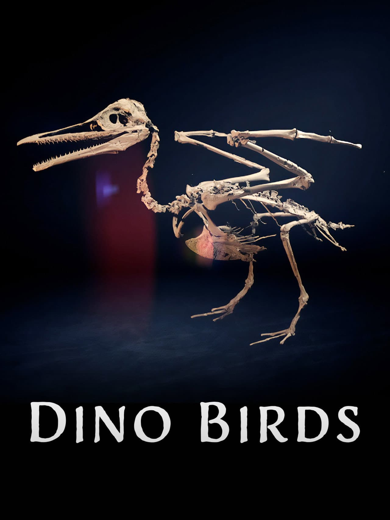 Dino Birds preview 2