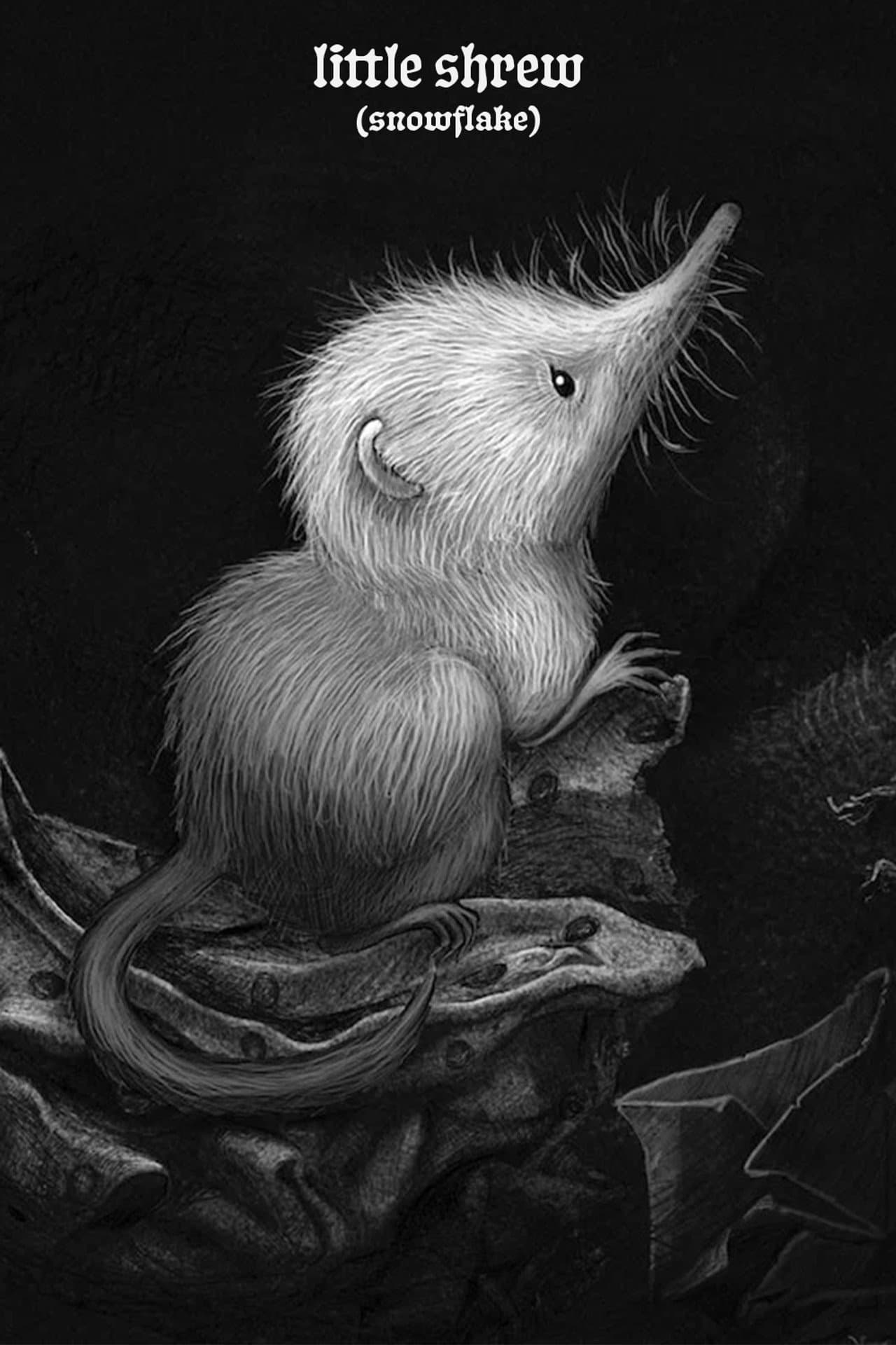 Little Shrew (Snowflake) preview 2